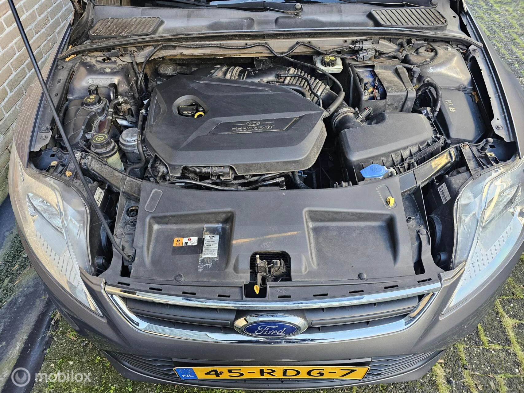 Hoofdafbeelding Ford Mondeo