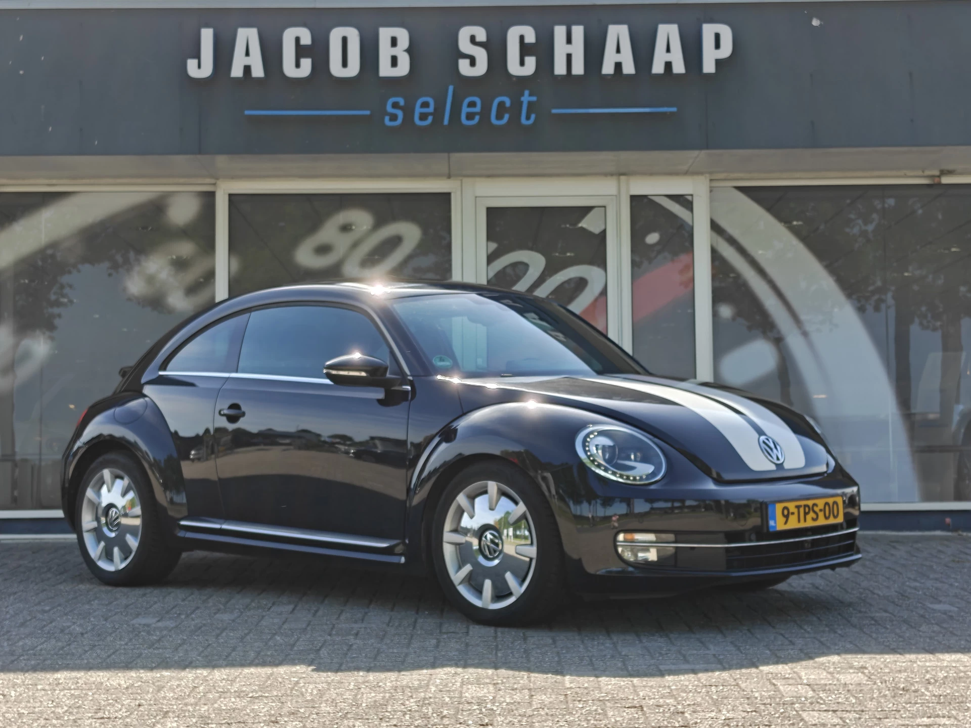 Hoofdafbeelding Volkswagen Beetle