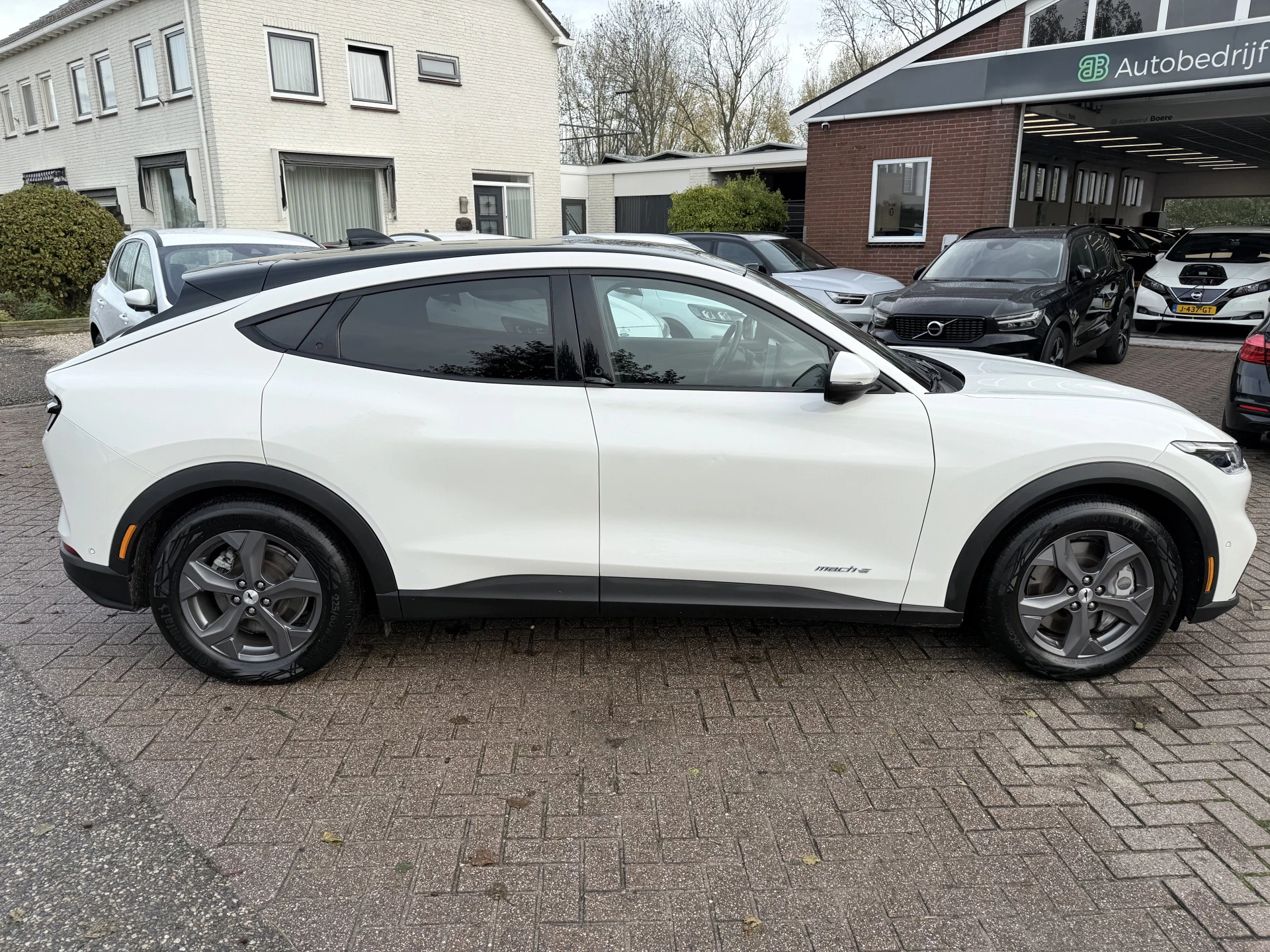 Hoofdafbeelding Ford Mustang Mach-E