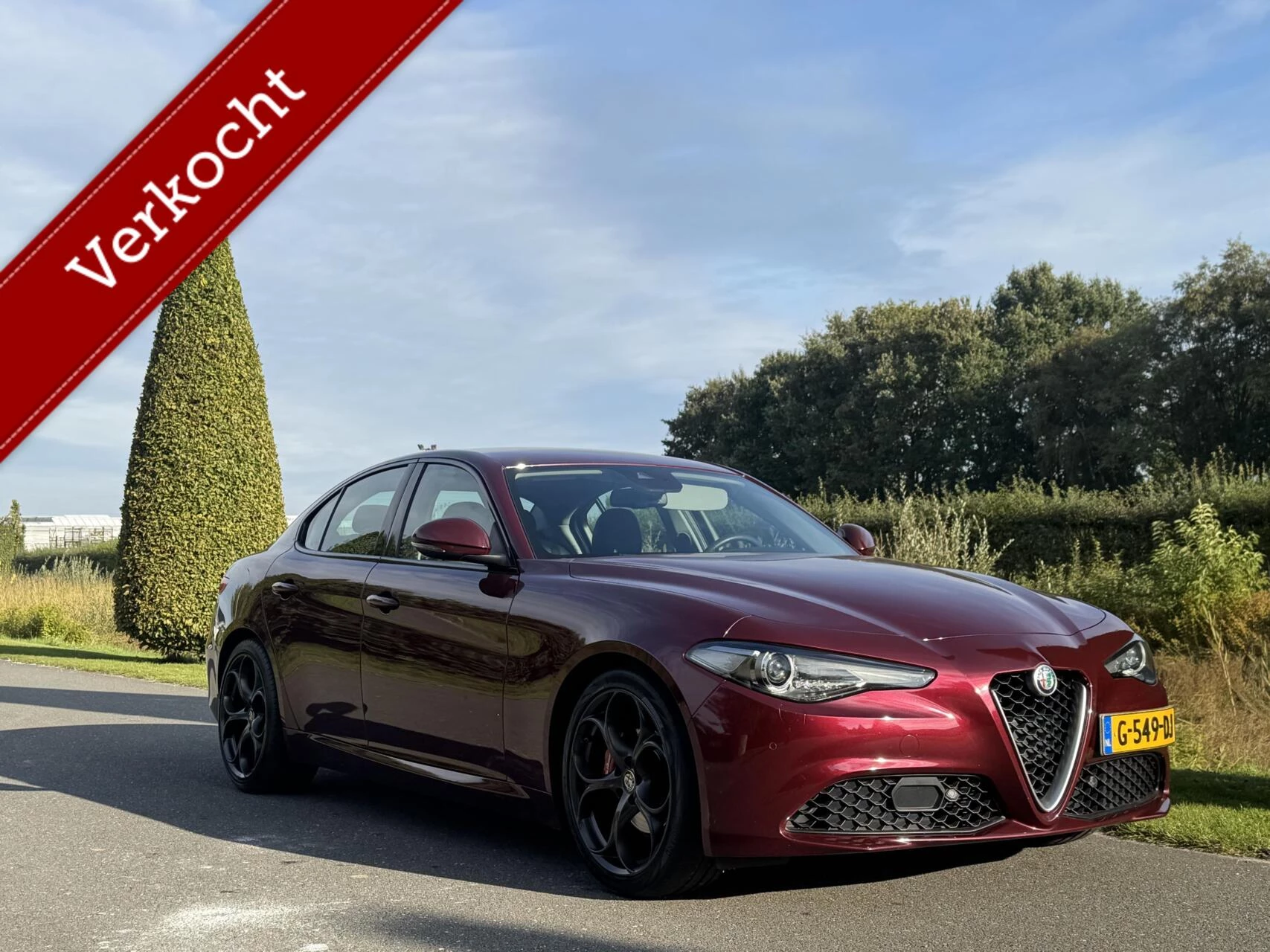 Hoofdafbeelding Alfa Romeo Giulia