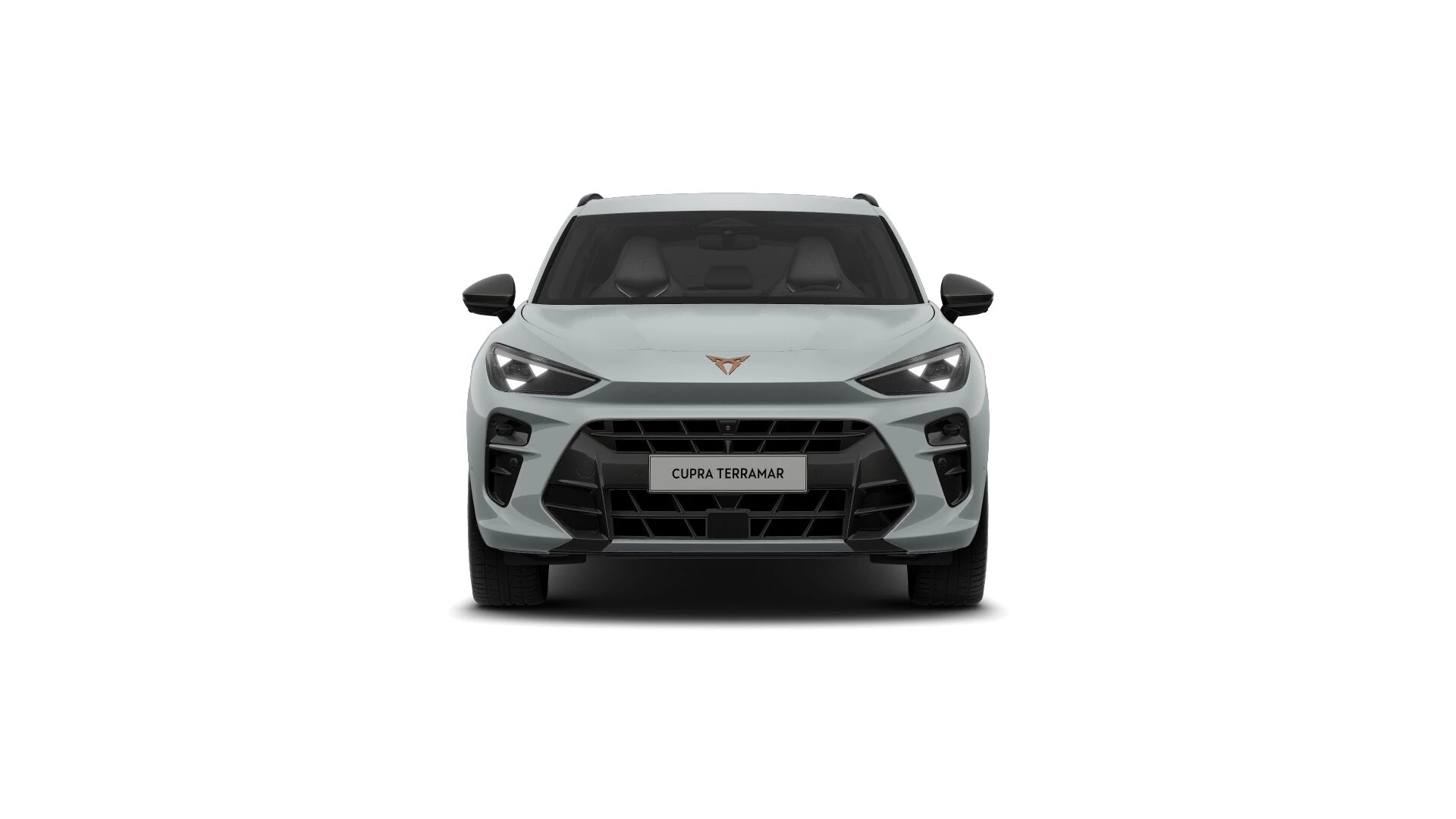 Hoofdafbeelding CUPRA Terramar