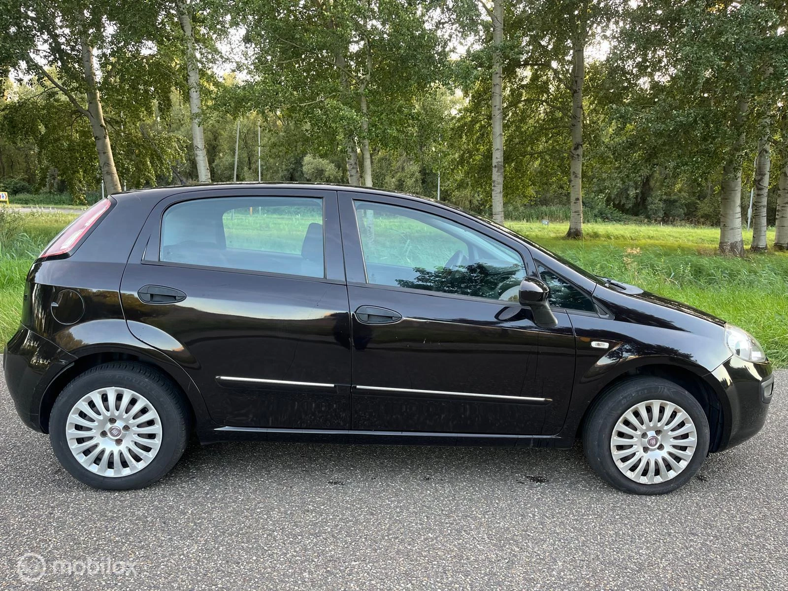 Hoofdafbeelding Fiat Punto