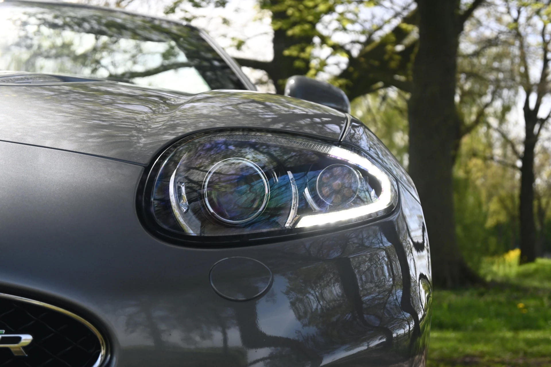 Hoofdafbeelding Jaguar XK