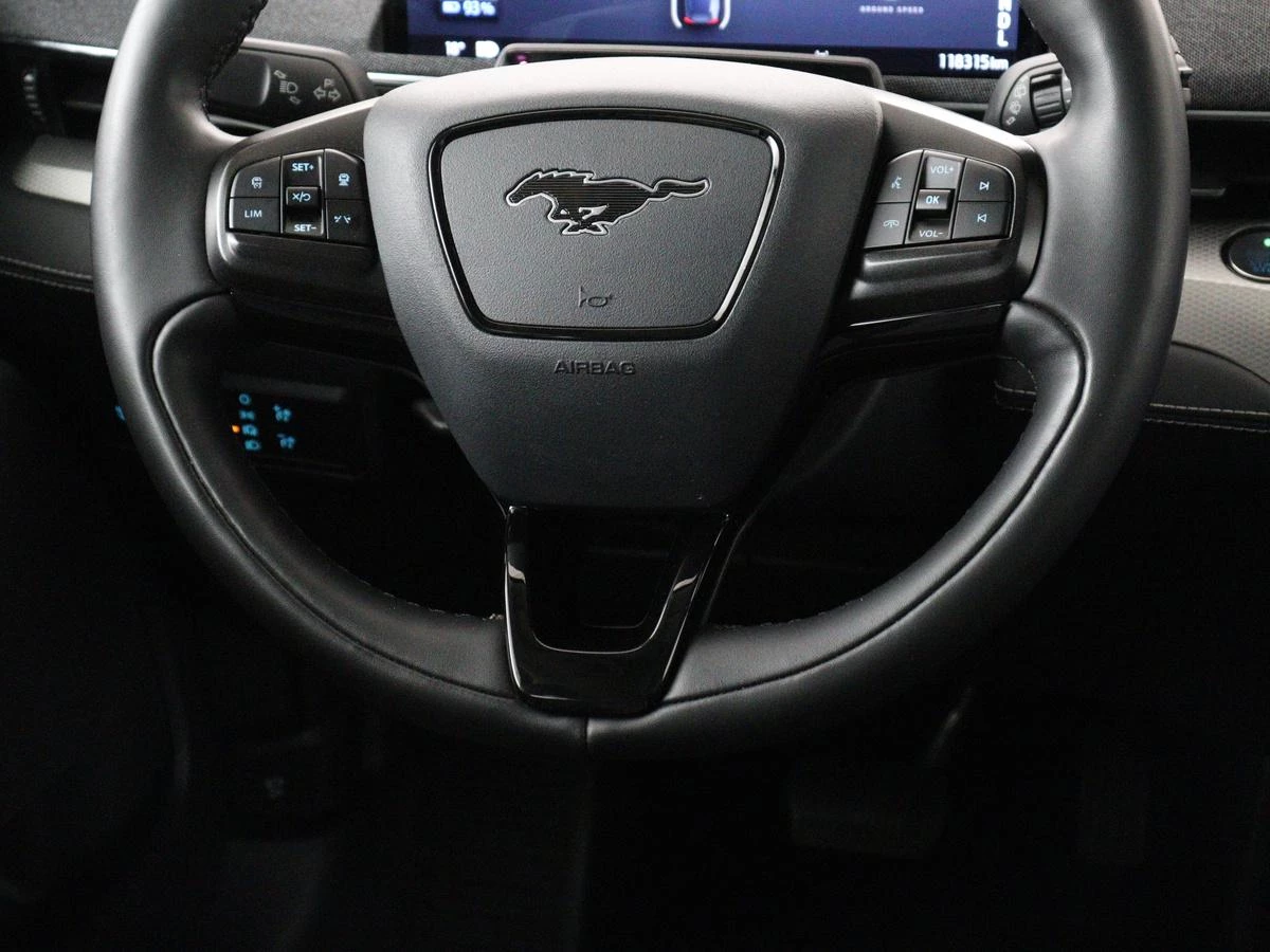 Hoofdafbeelding Ford Mustang Mach-E