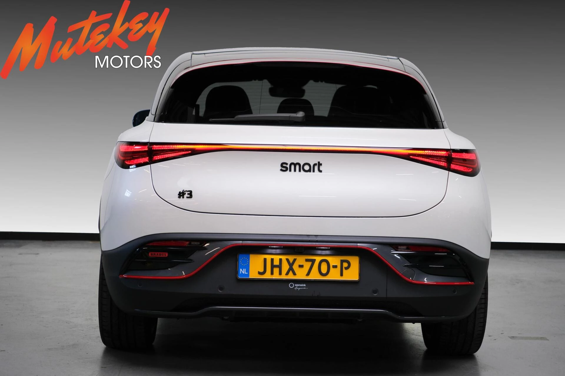 Hoofdafbeelding smart #3