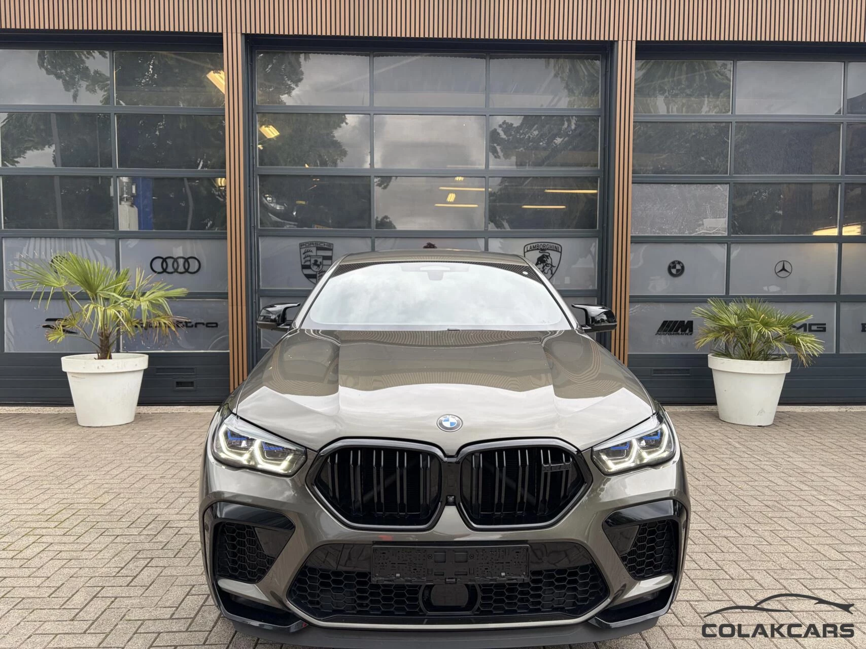 Hoofdafbeelding BMW X6