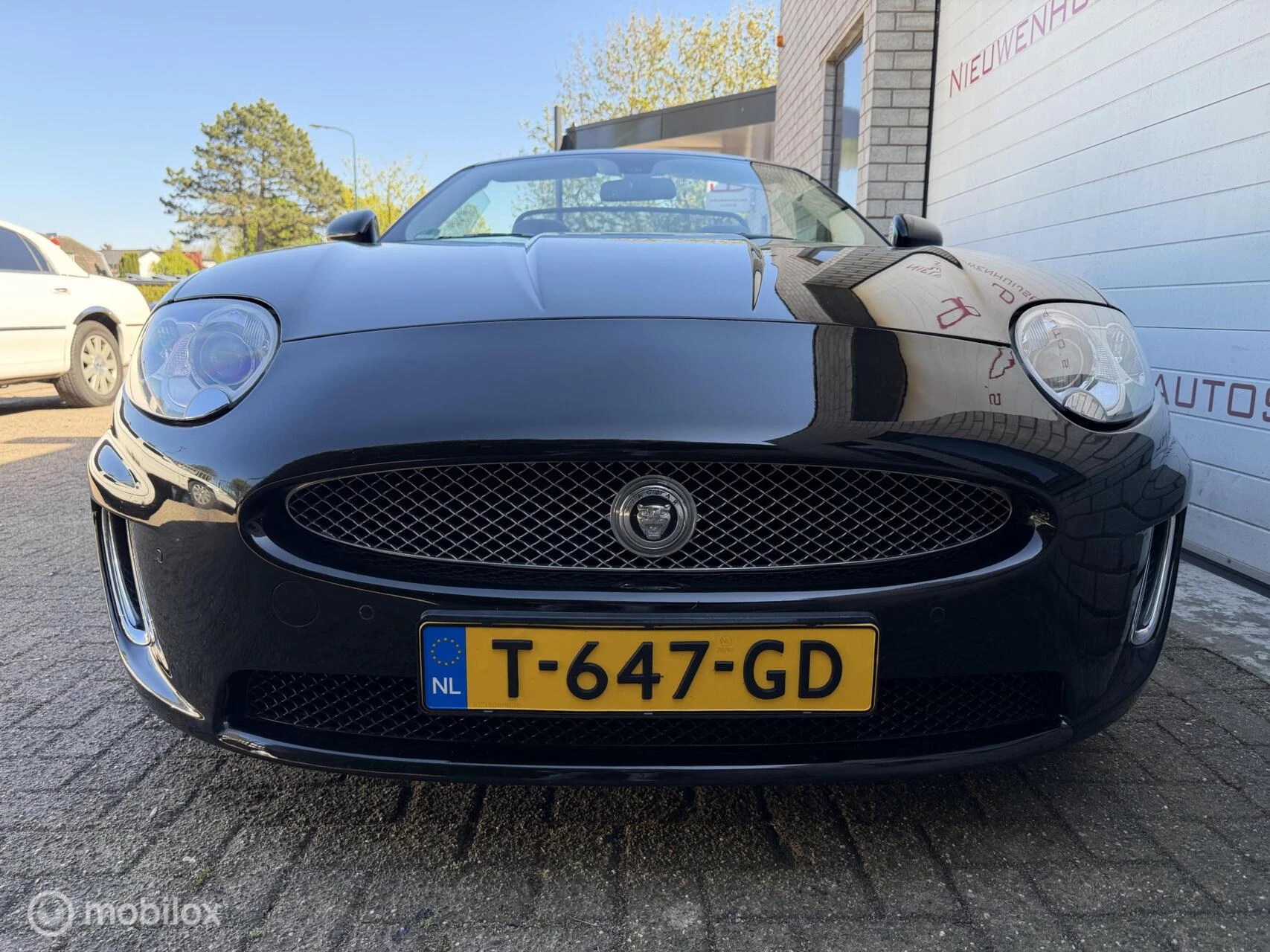 Hoofdafbeelding Jaguar XK