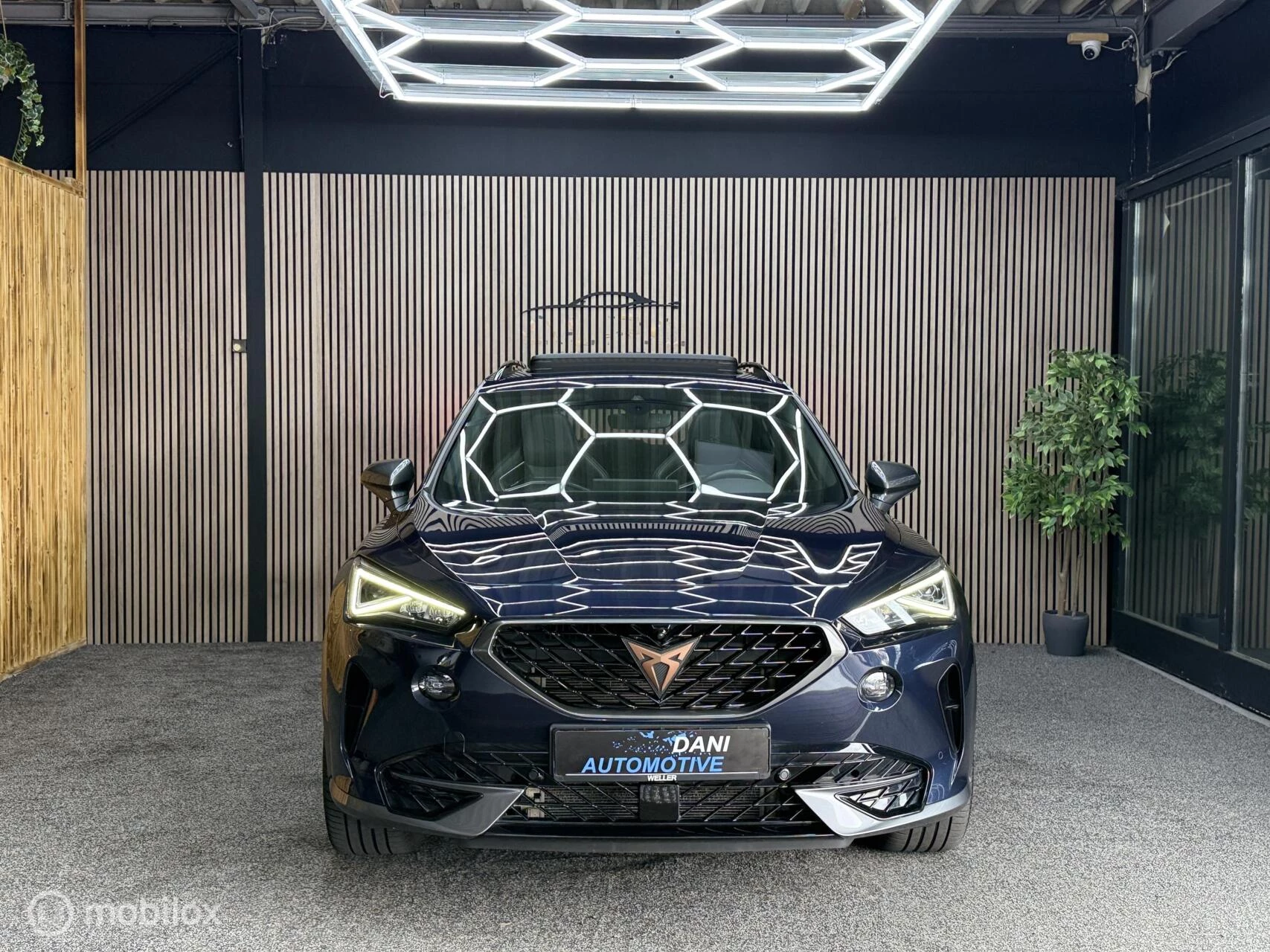 Hoofdafbeelding CUPRA Formentor