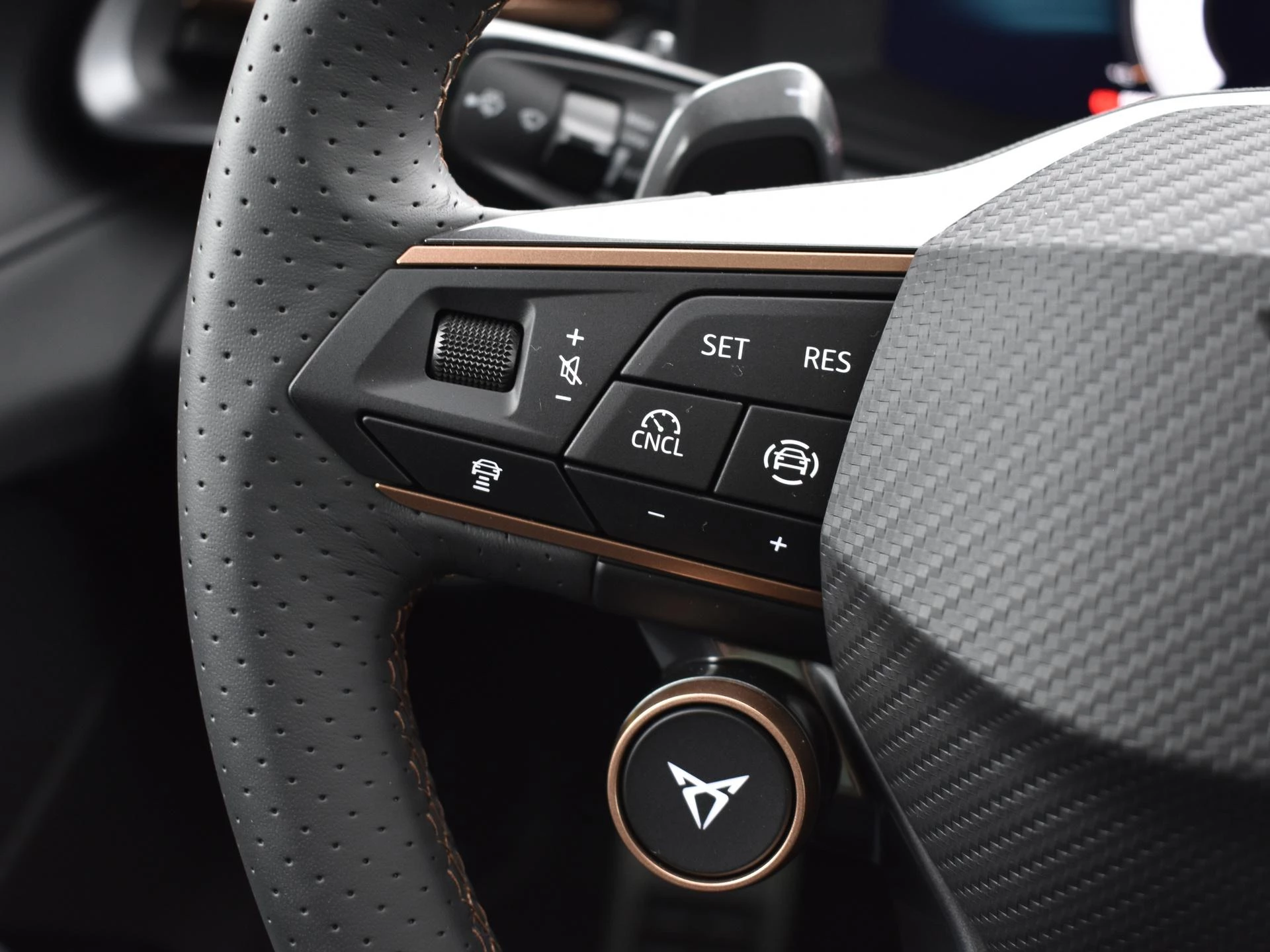 Hoofdafbeelding CUPRA Terramar