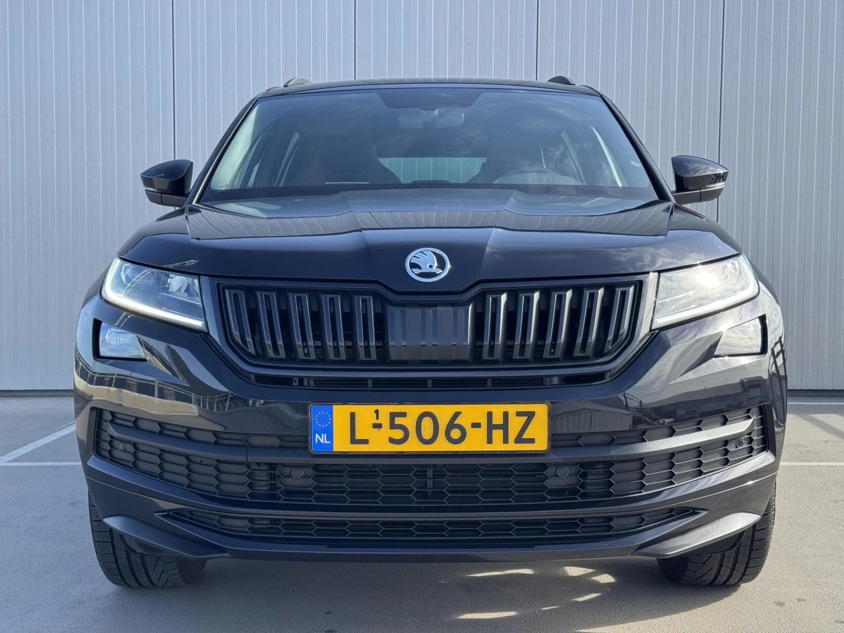 Hoofdafbeelding Škoda Kodiaq
