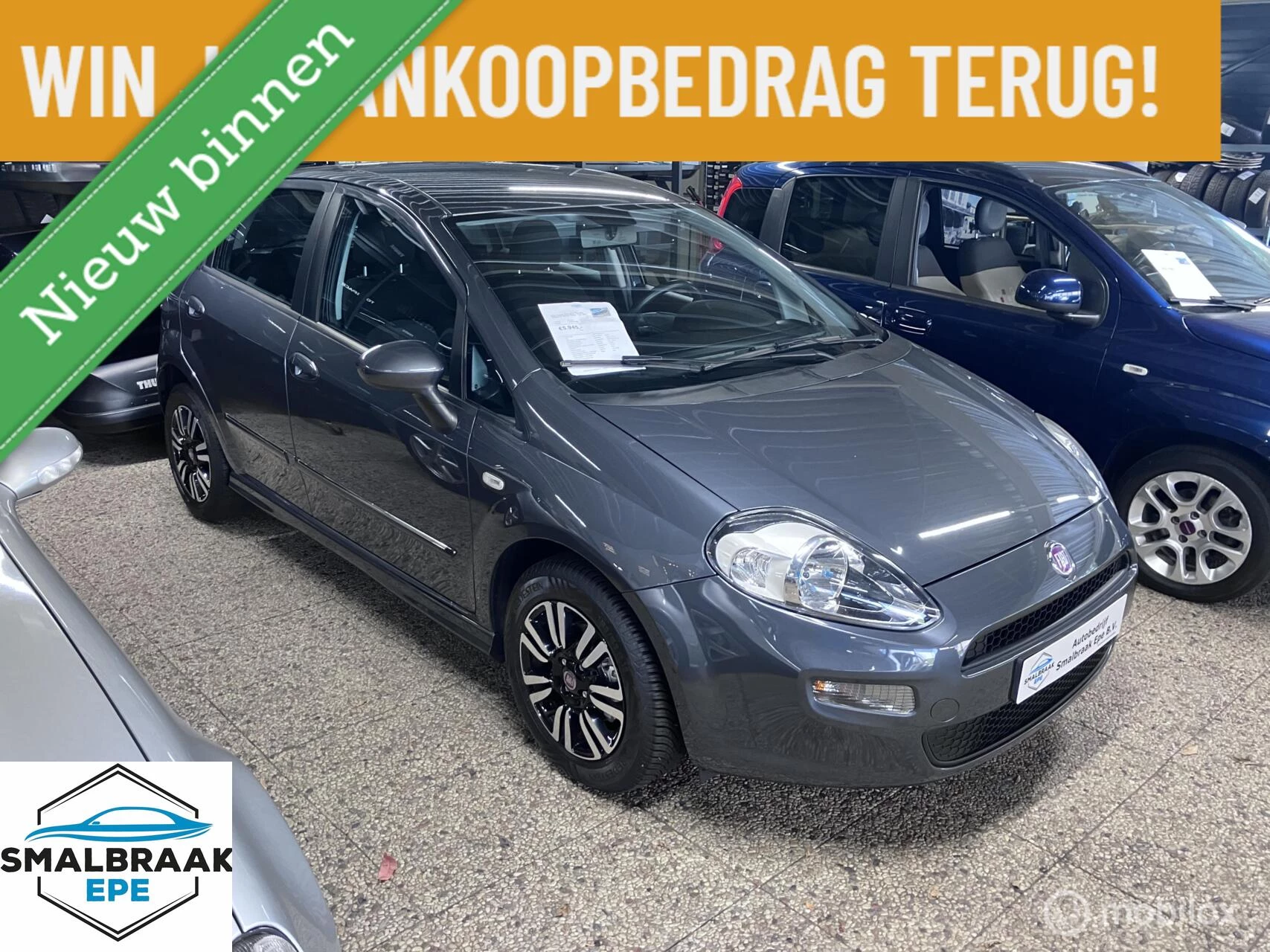 Hoofdafbeelding Fiat Punto