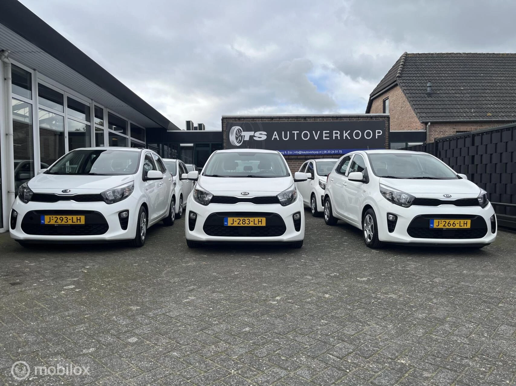Hoofdafbeelding Kia Picanto