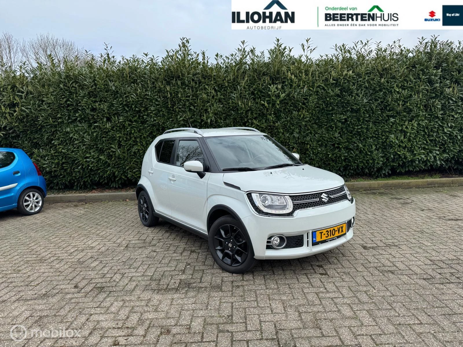 Hoofdafbeelding Suzuki Ignis