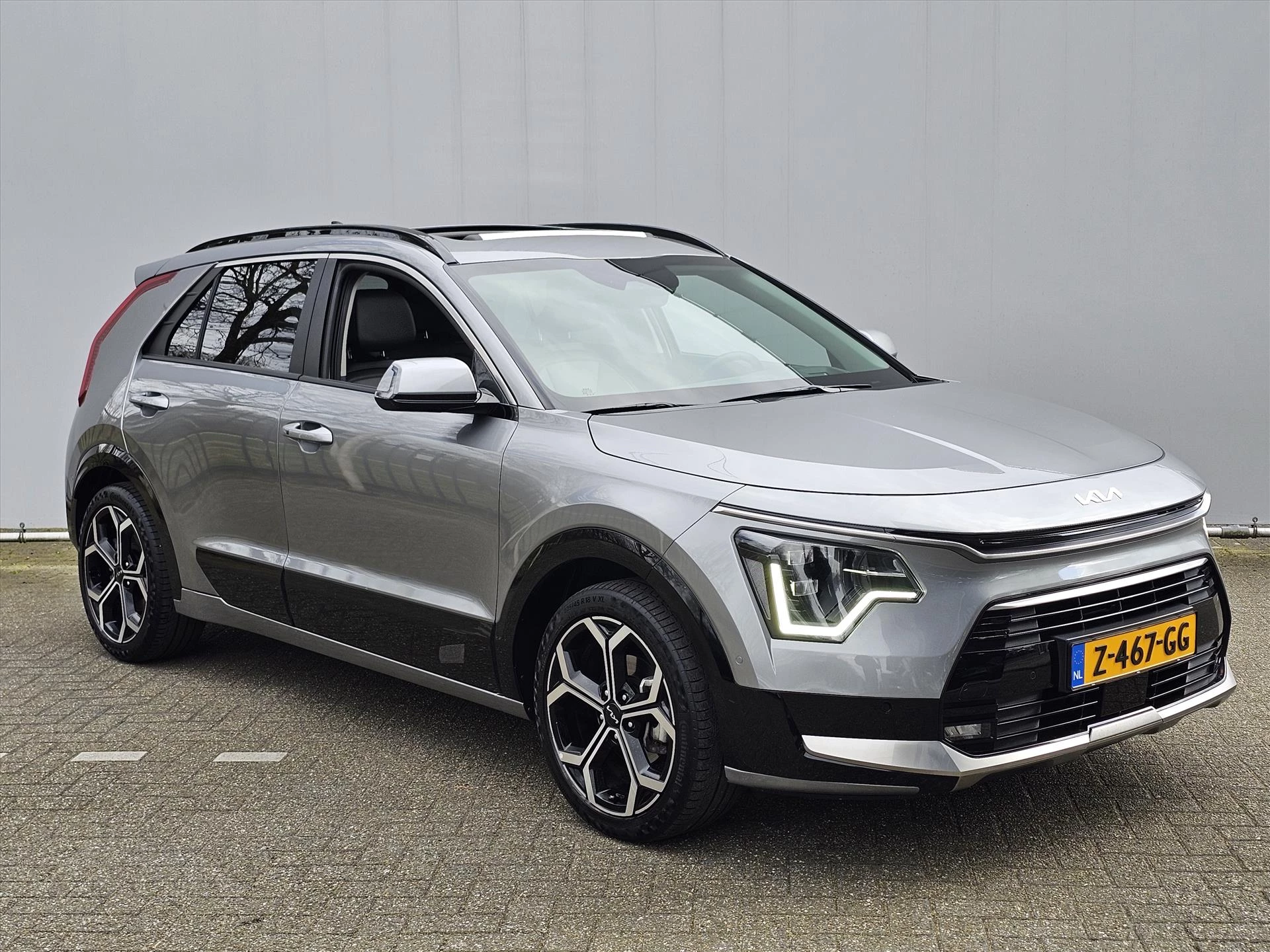 Hoofdafbeelding Kia Niro