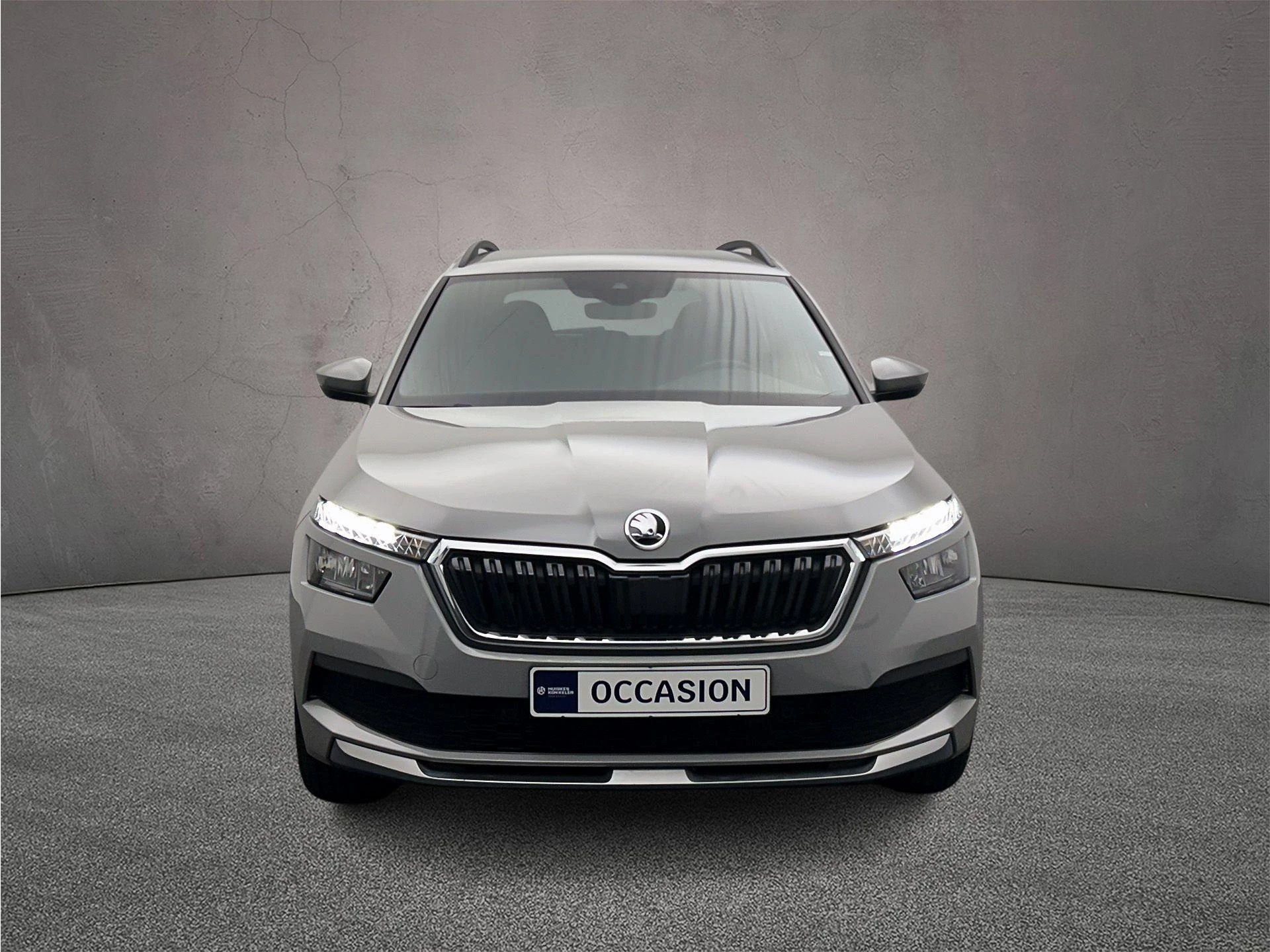 Hoofdafbeelding Škoda Kamiq