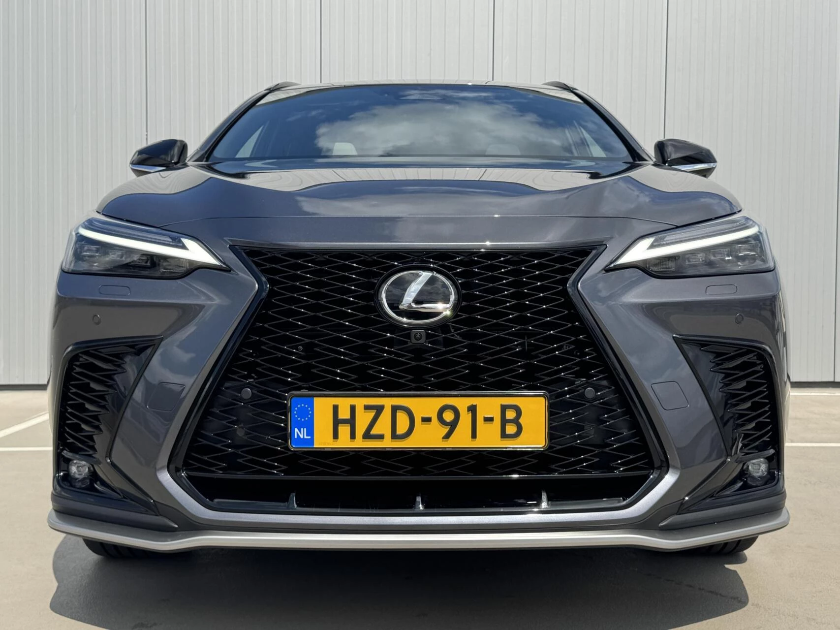 Hoofdafbeelding Lexus NX