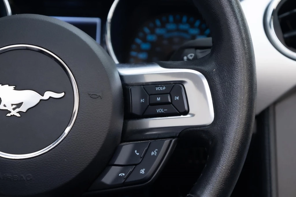 Hoofdafbeelding Ford Mustang