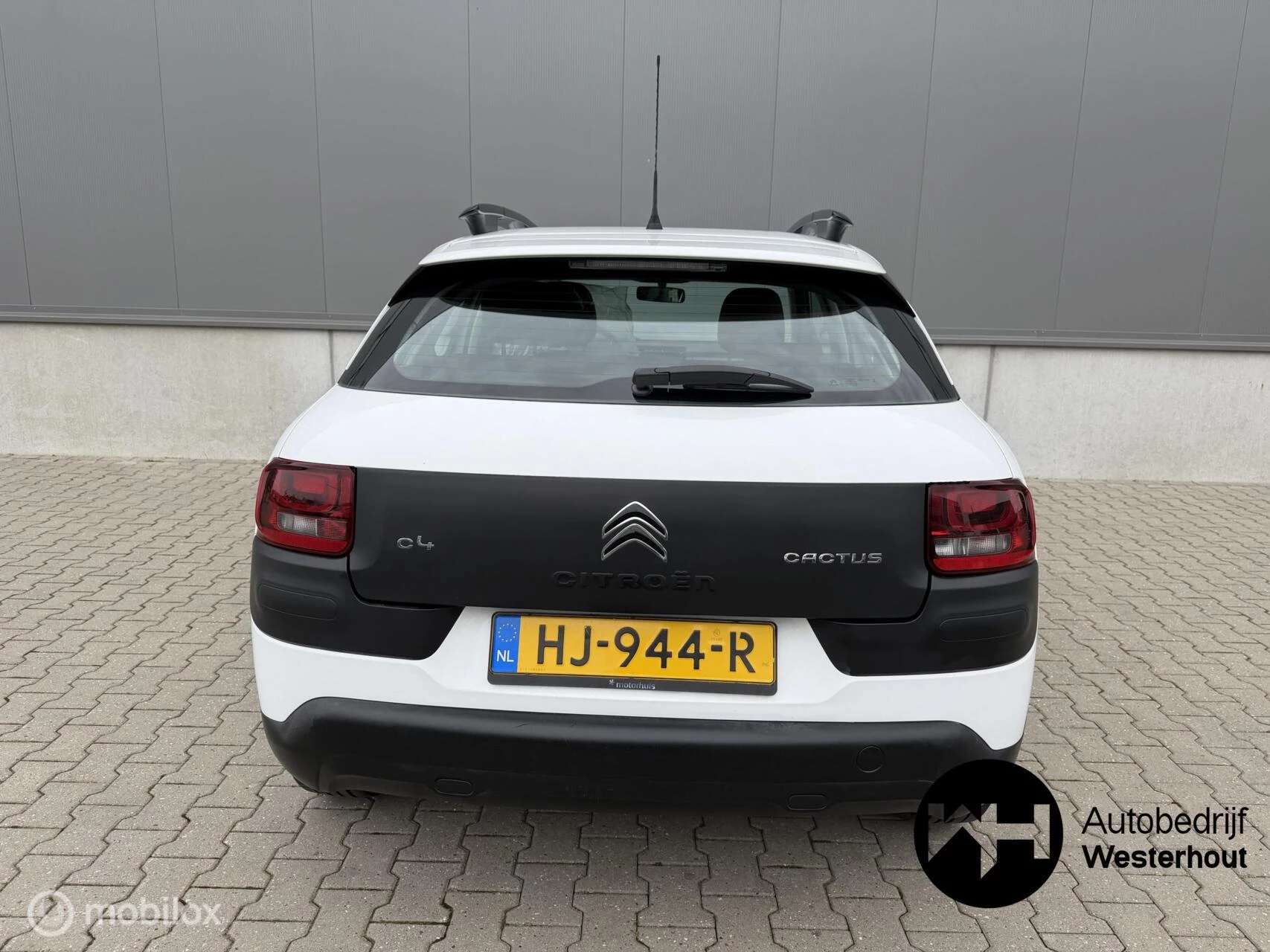 Hoofdafbeelding Citroën C4 Cactus