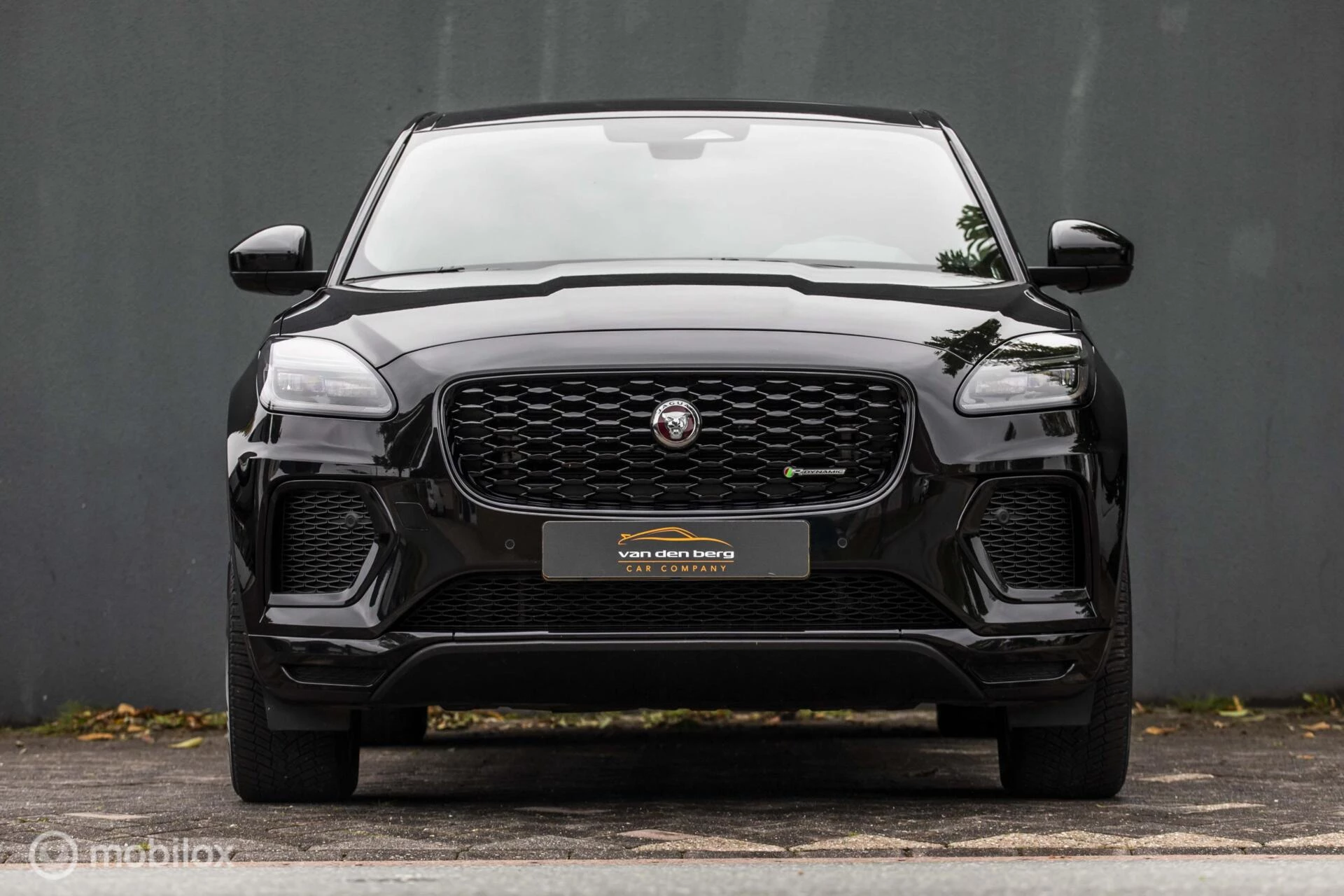 Hoofdafbeelding Jaguar E-PACE