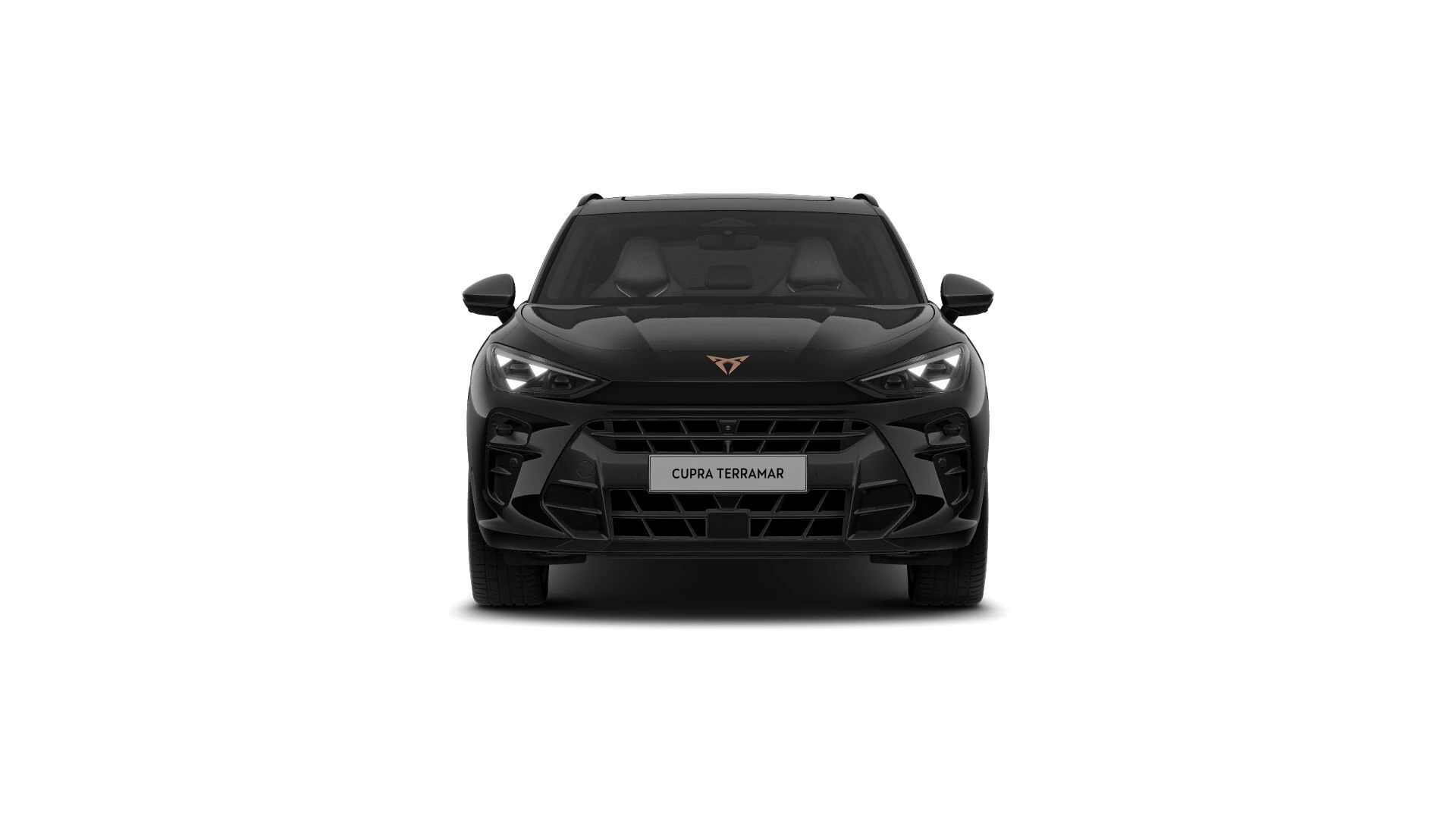 Hoofdafbeelding CUPRA Terramar