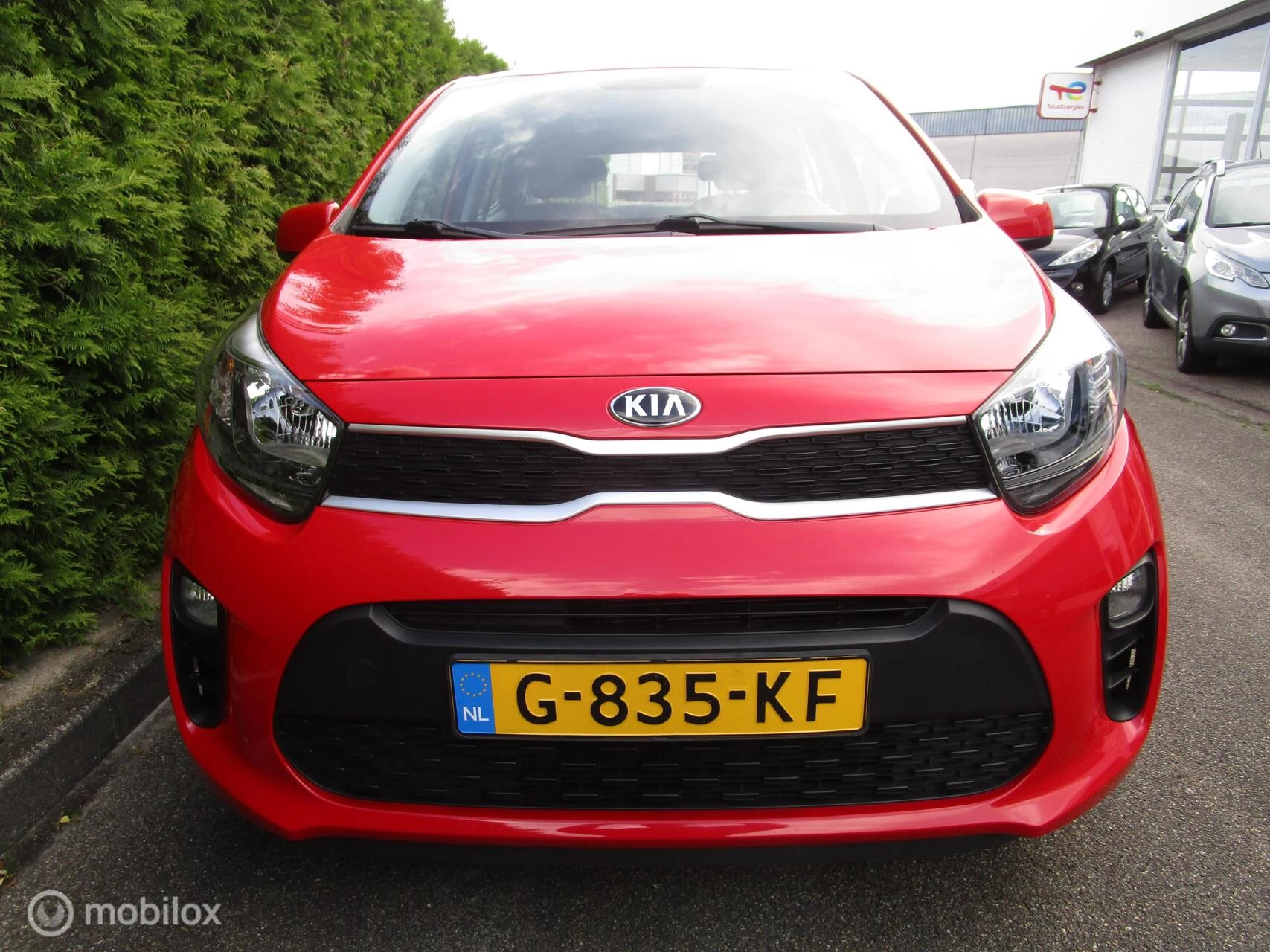 Hoofdafbeelding Kia Picanto