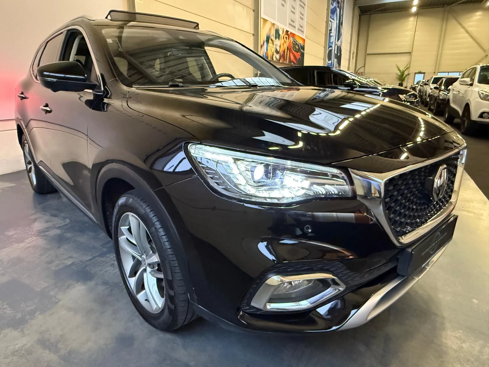 Hoofdafbeelding MG EHS