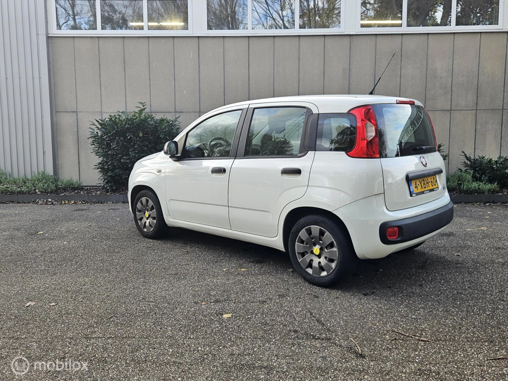 Hoofdafbeelding Fiat Panda