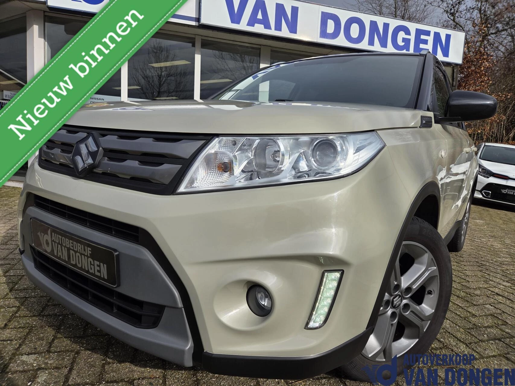 Hoofdafbeelding Suzuki Vitara