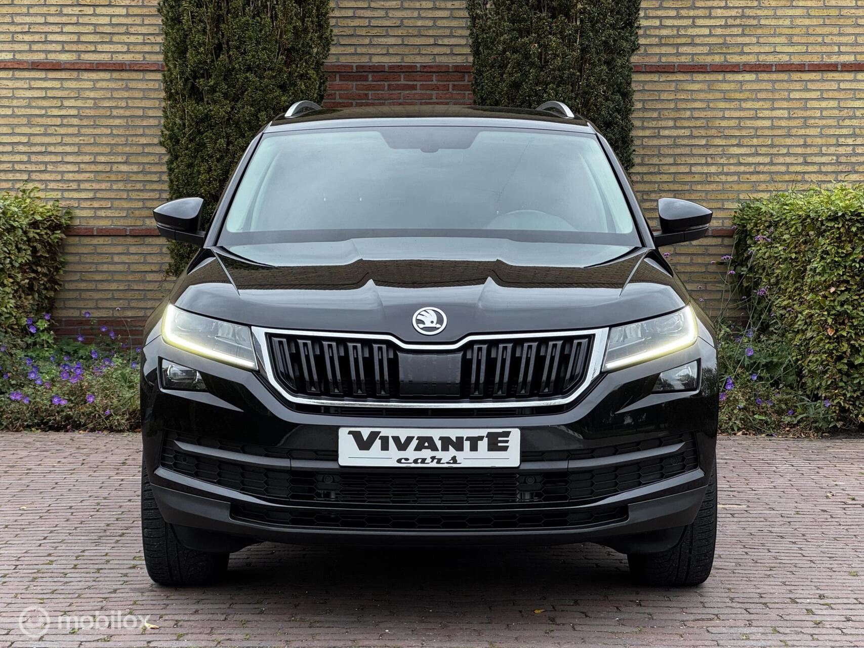 Hoofdafbeelding Škoda Kodiaq
