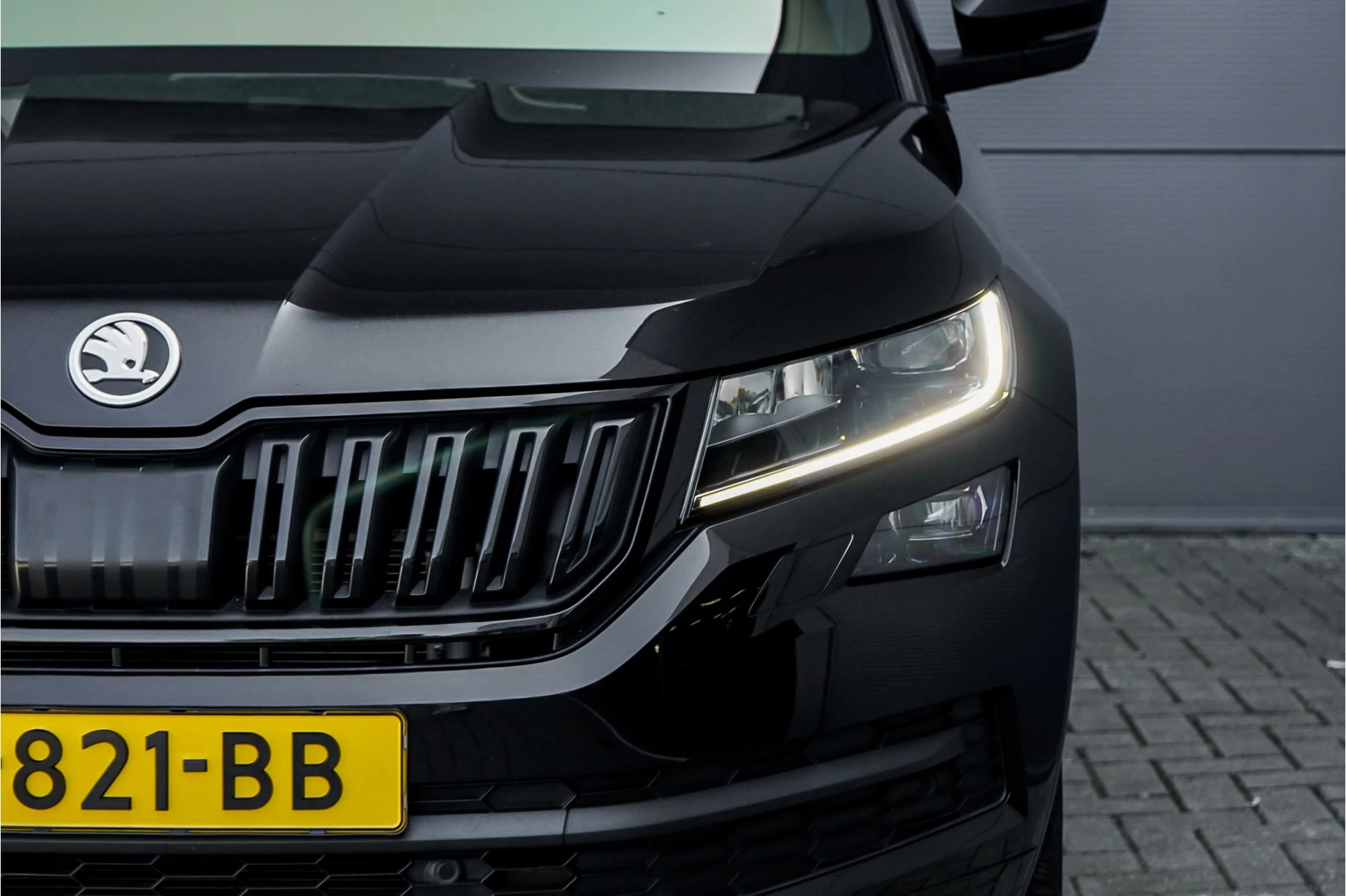 Hoofdafbeelding Škoda Kodiaq
