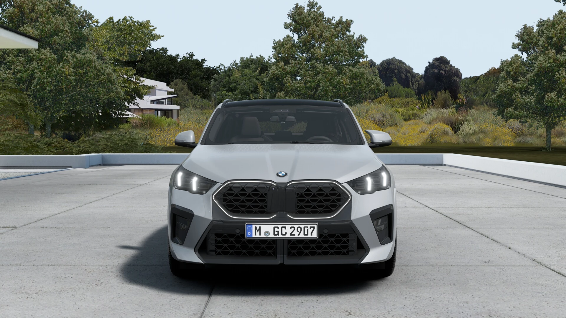 Hoofdafbeelding BMW X2