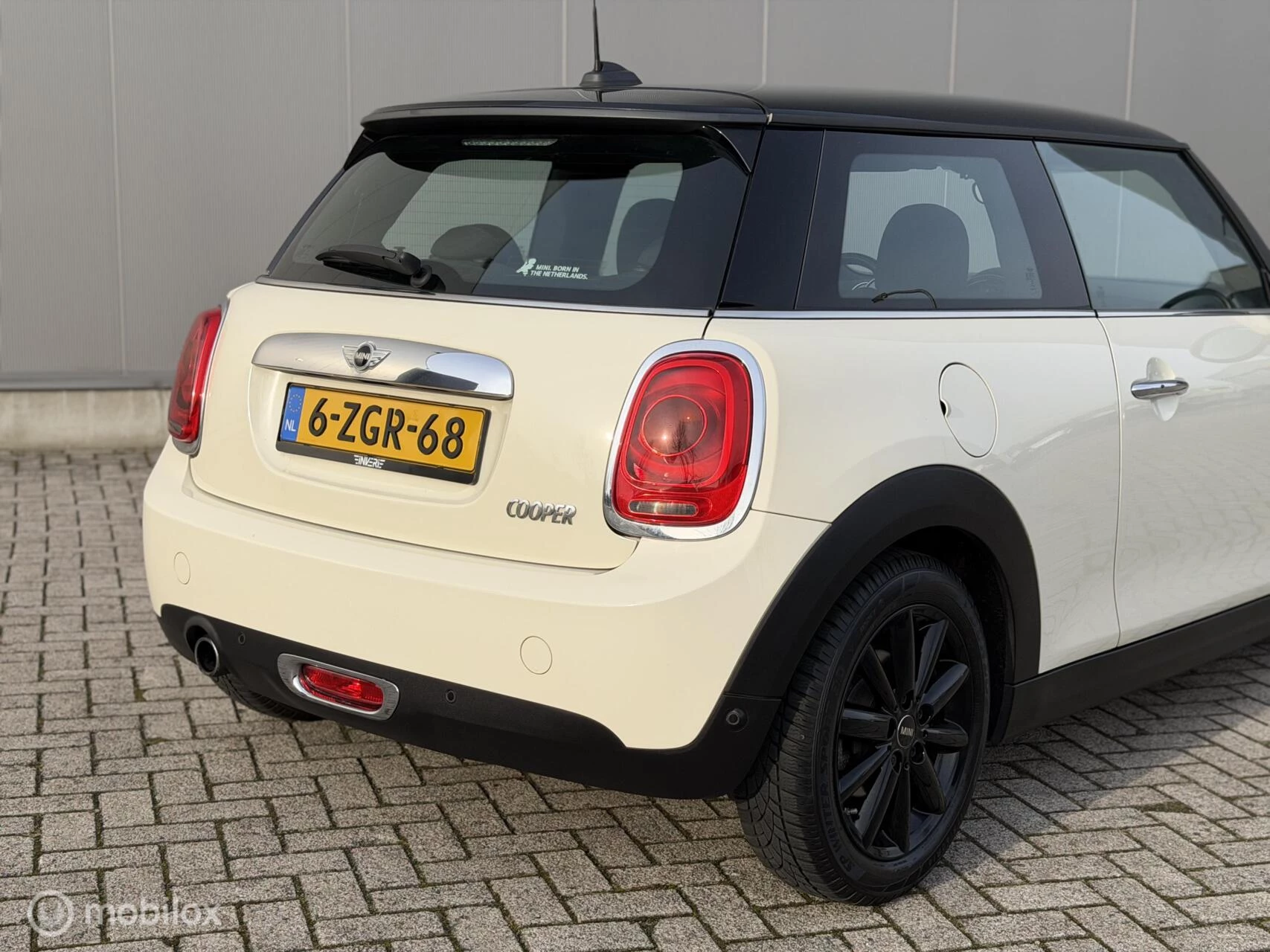Hoofdafbeelding MINI Cooper