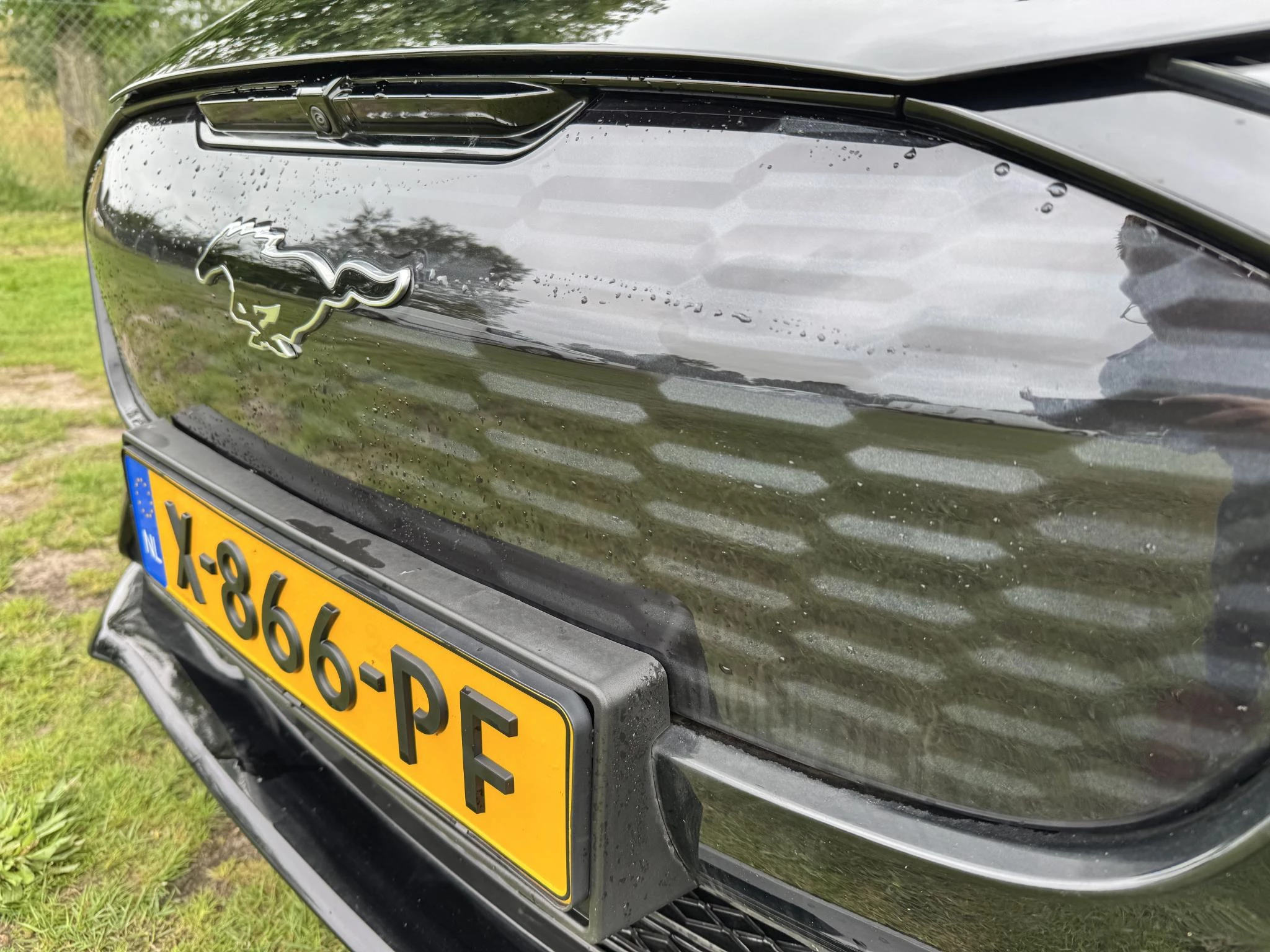 Hoofdafbeelding Ford Mustang Mach-E