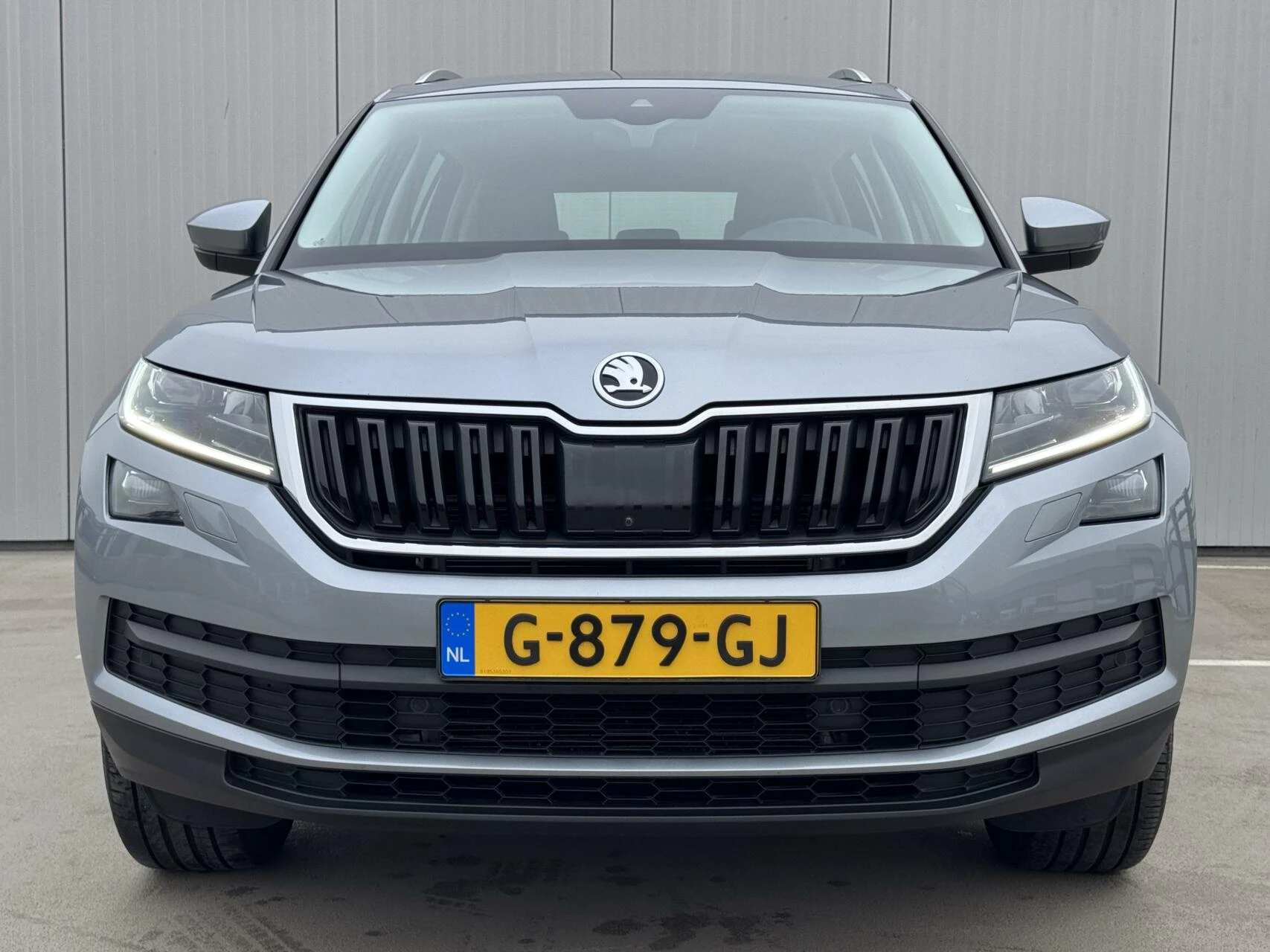 Hoofdafbeelding Škoda Kodiaq