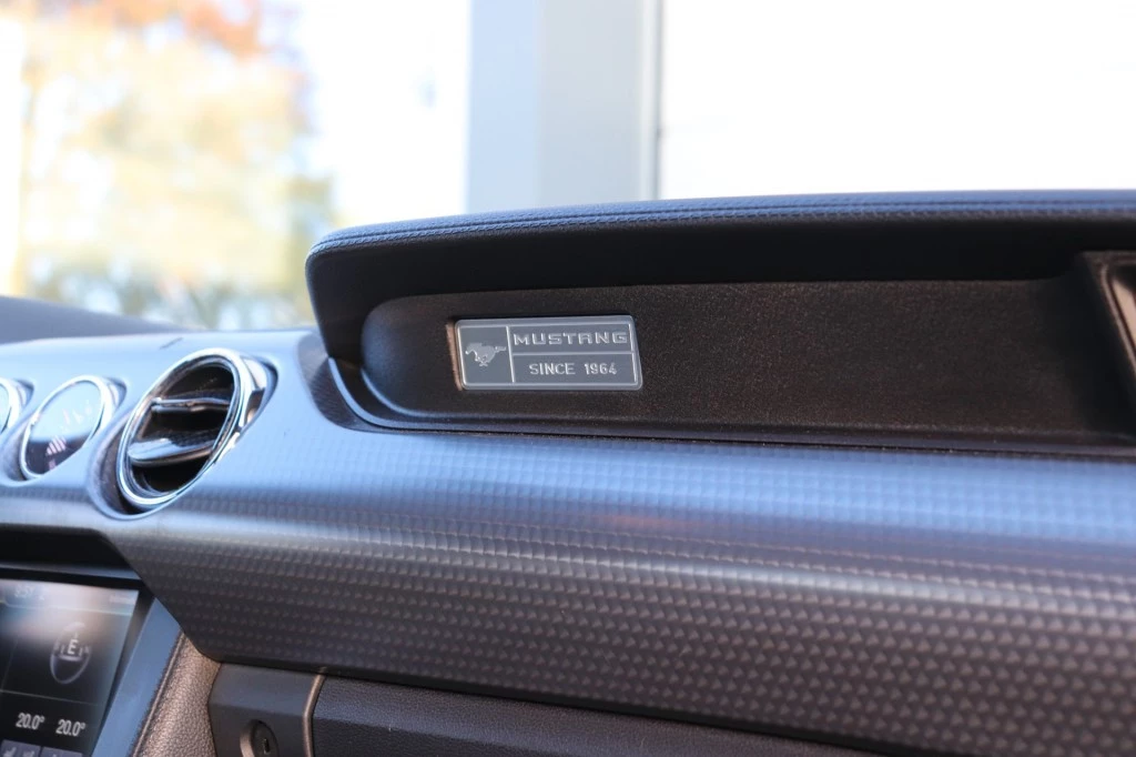 Hoofdafbeelding Ford Mustang