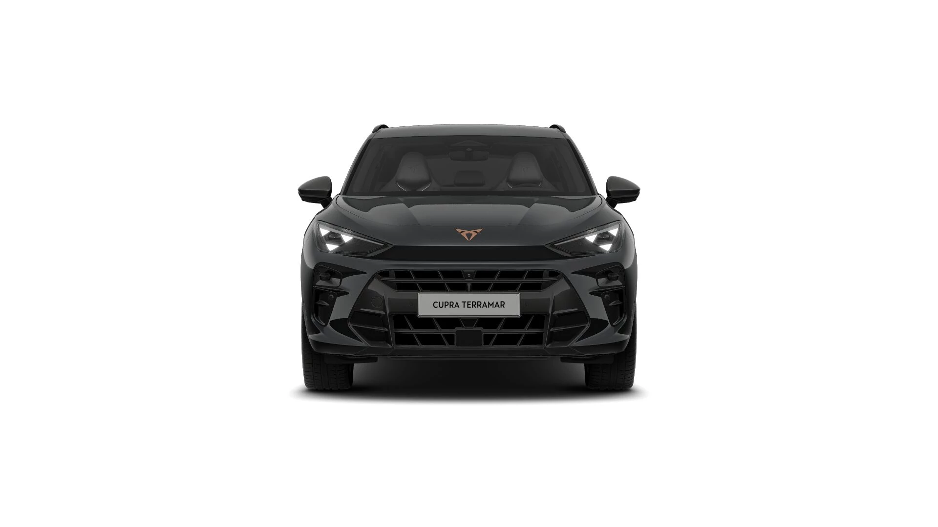 Hoofdafbeelding CUPRA Terramar