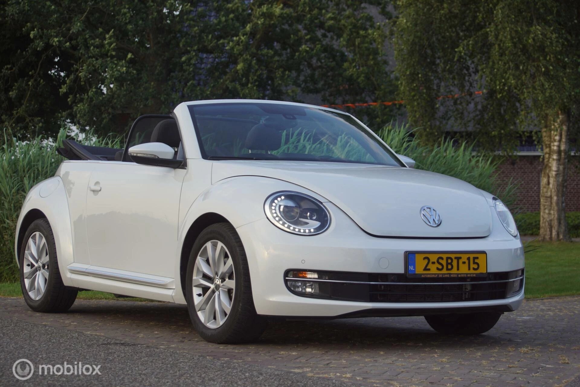 Hoofdafbeelding Volkswagen Beetle