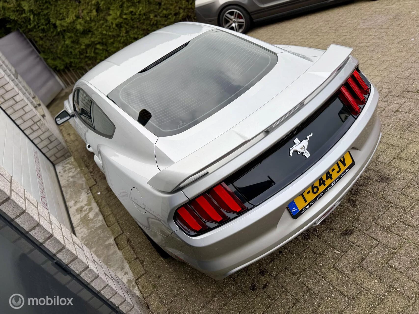 Hoofdafbeelding Ford Mustang