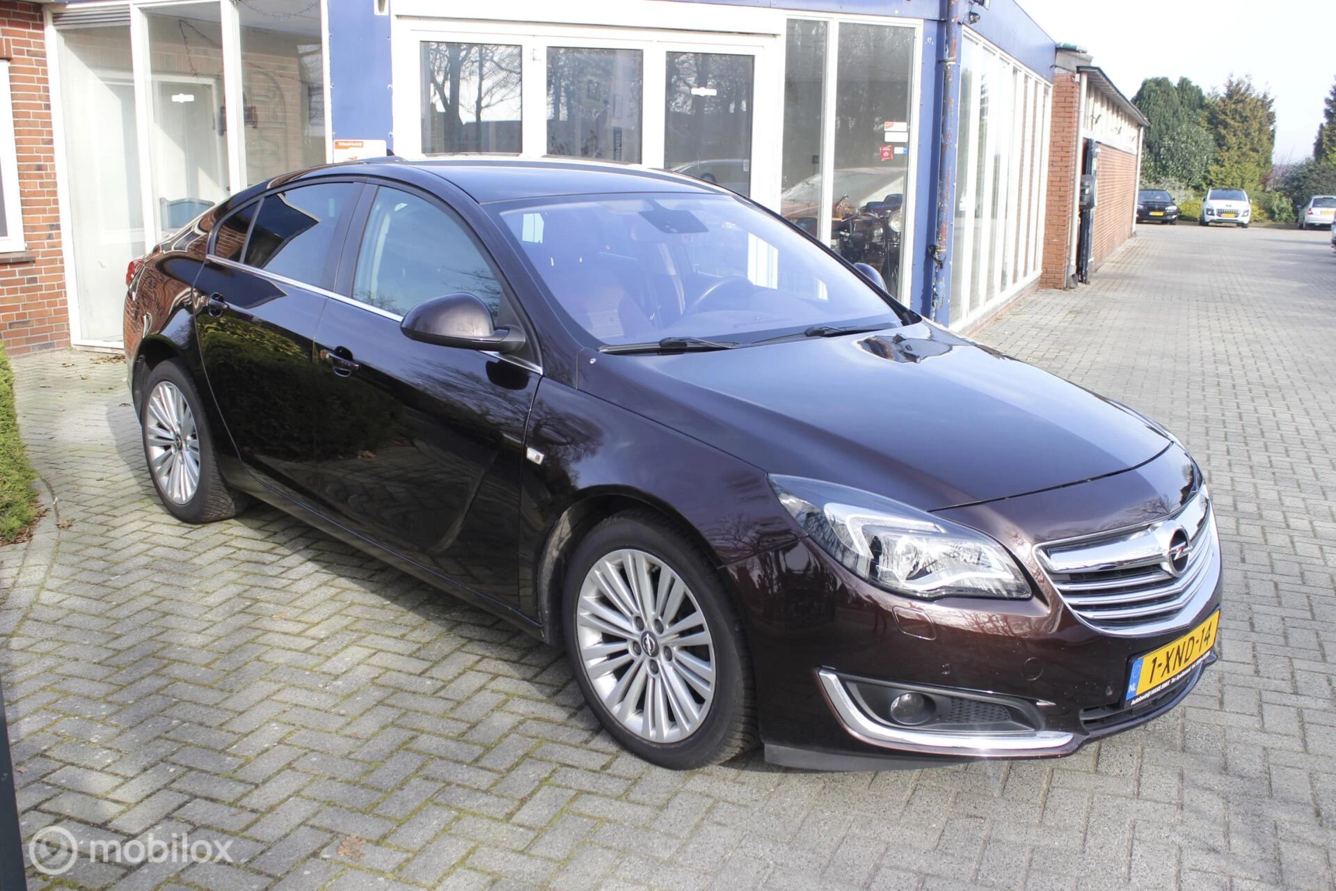 Hoofdafbeelding Opel Insignia