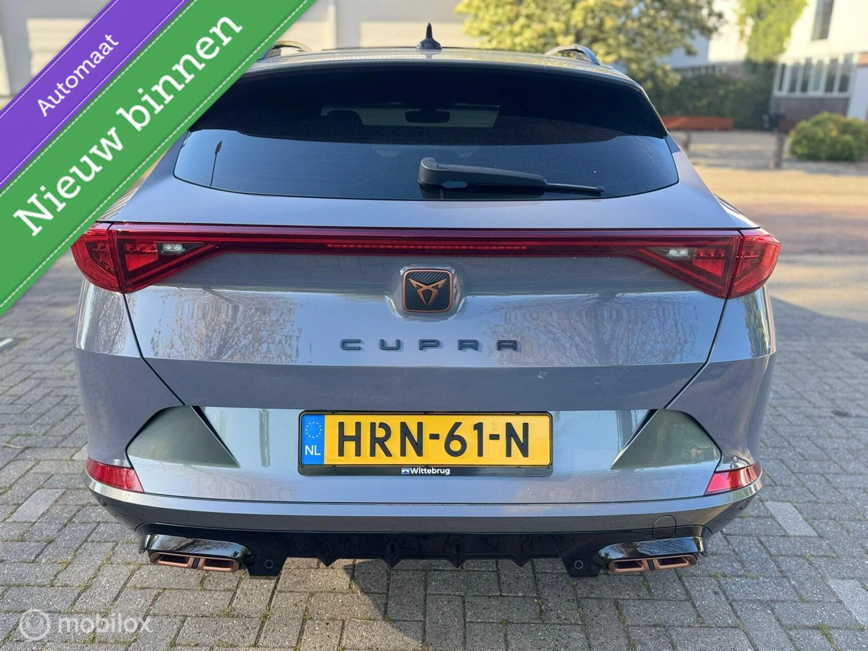 Hoofdafbeelding CUPRA Formentor