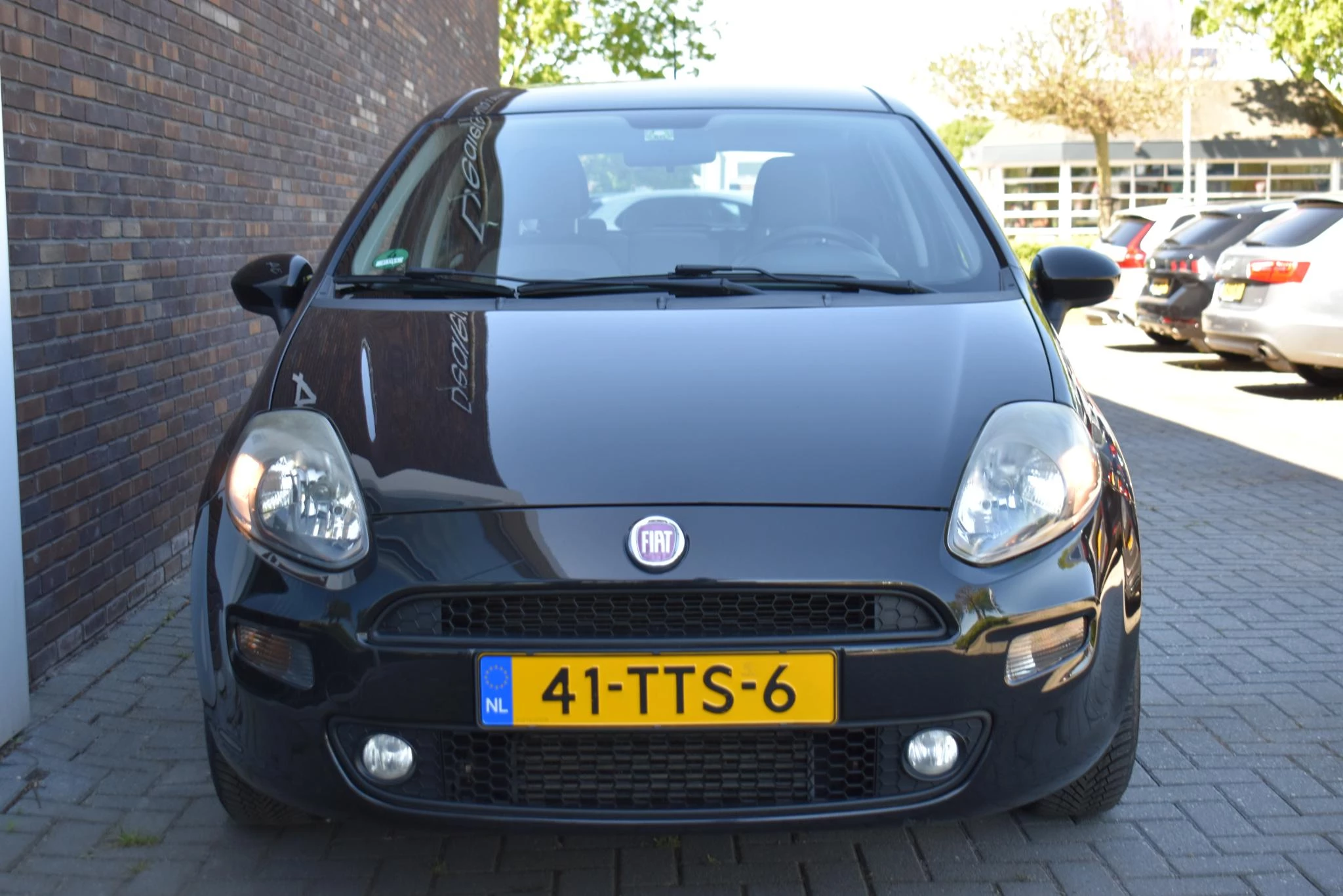 Hoofdafbeelding Fiat Punto