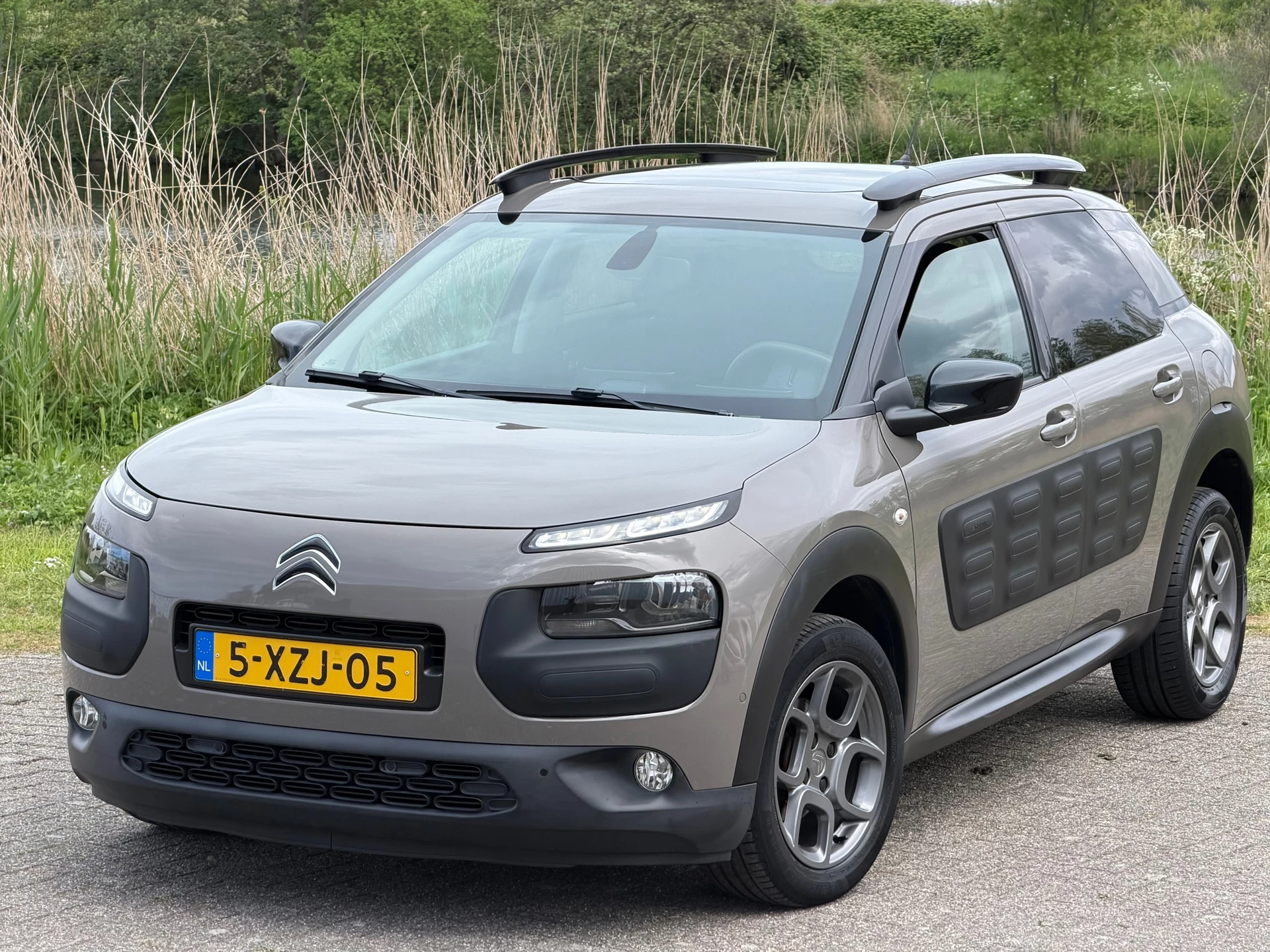 Hoofdafbeelding Citroën C4 Cactus
