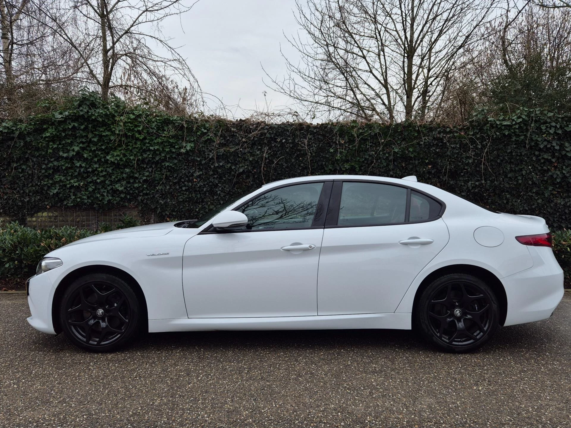 Hoofdafbeelding Alfa Romeo Giulia