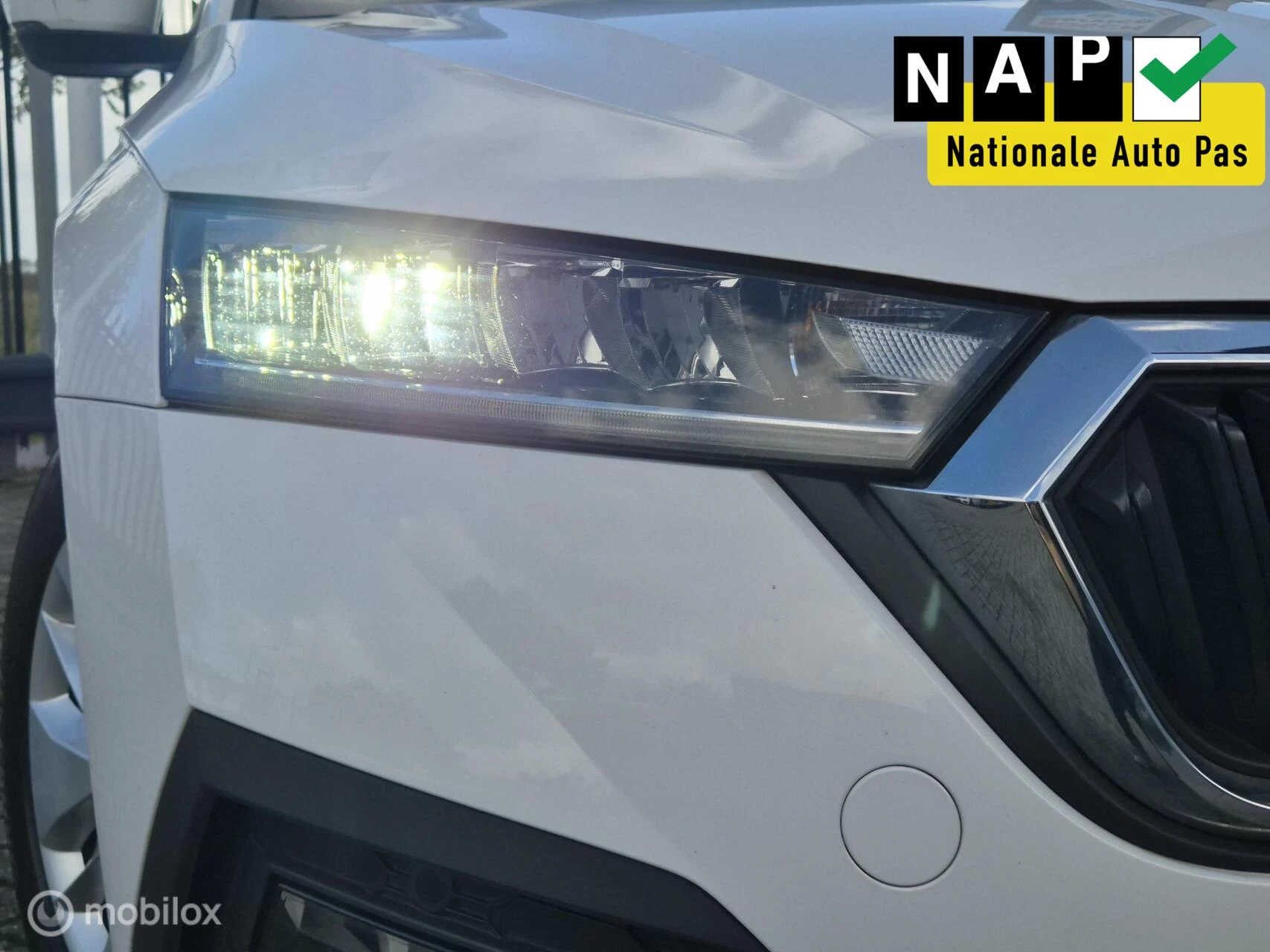 Hoofdafbeelding Škoda Octavia