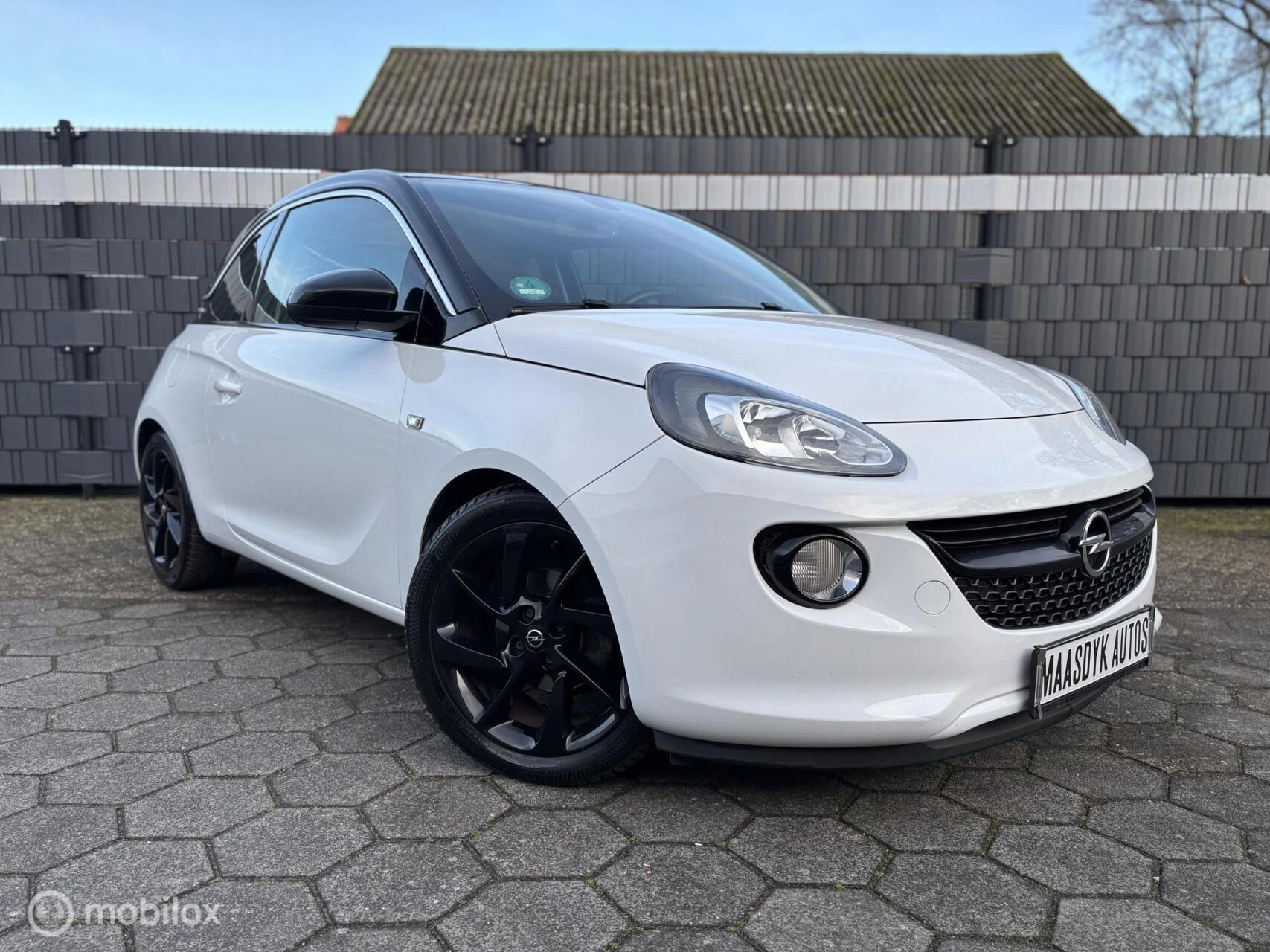 Hoofdafbeelding Opel ADAM