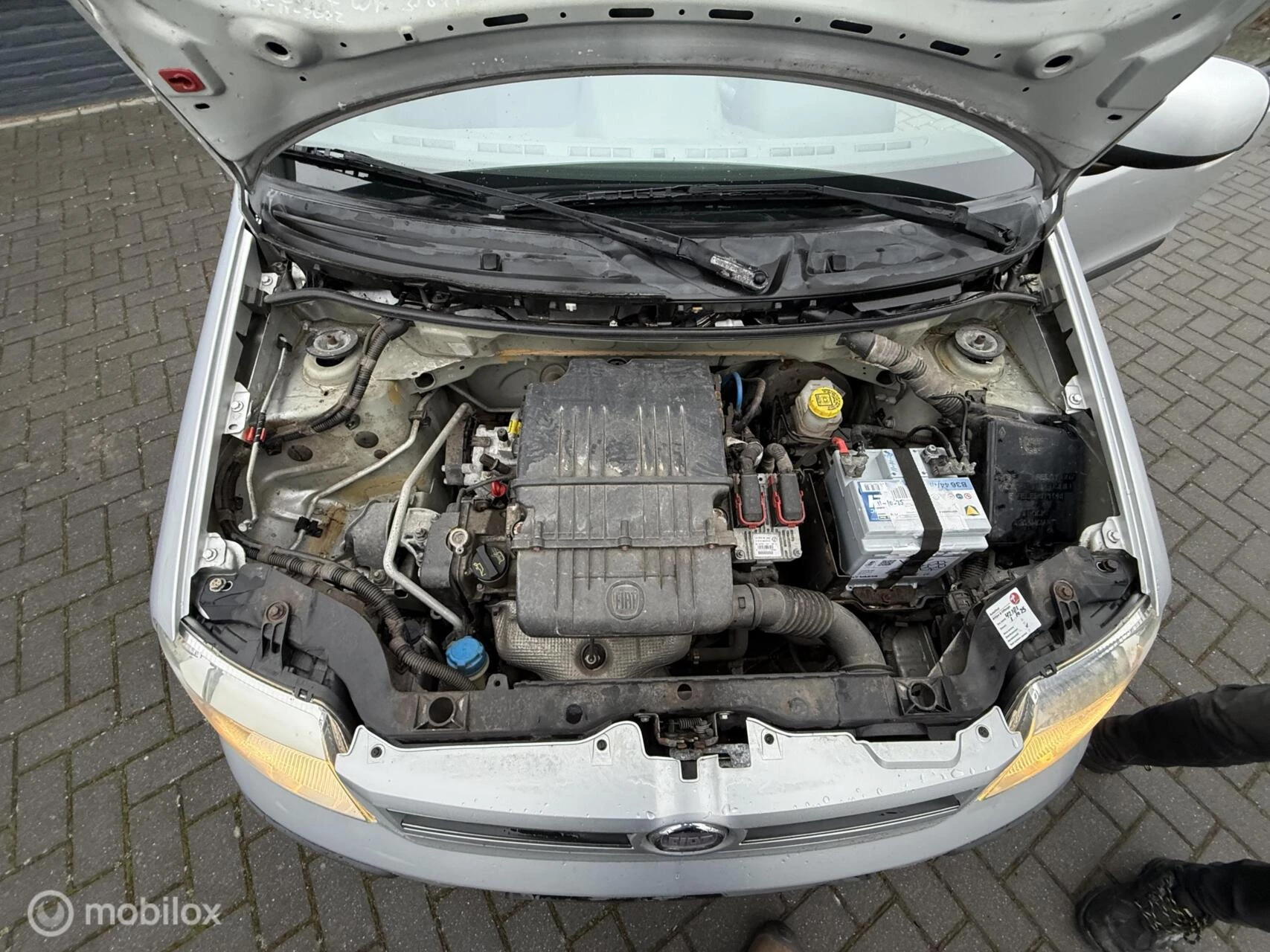 Hoofdafbeelding Fiat Panda