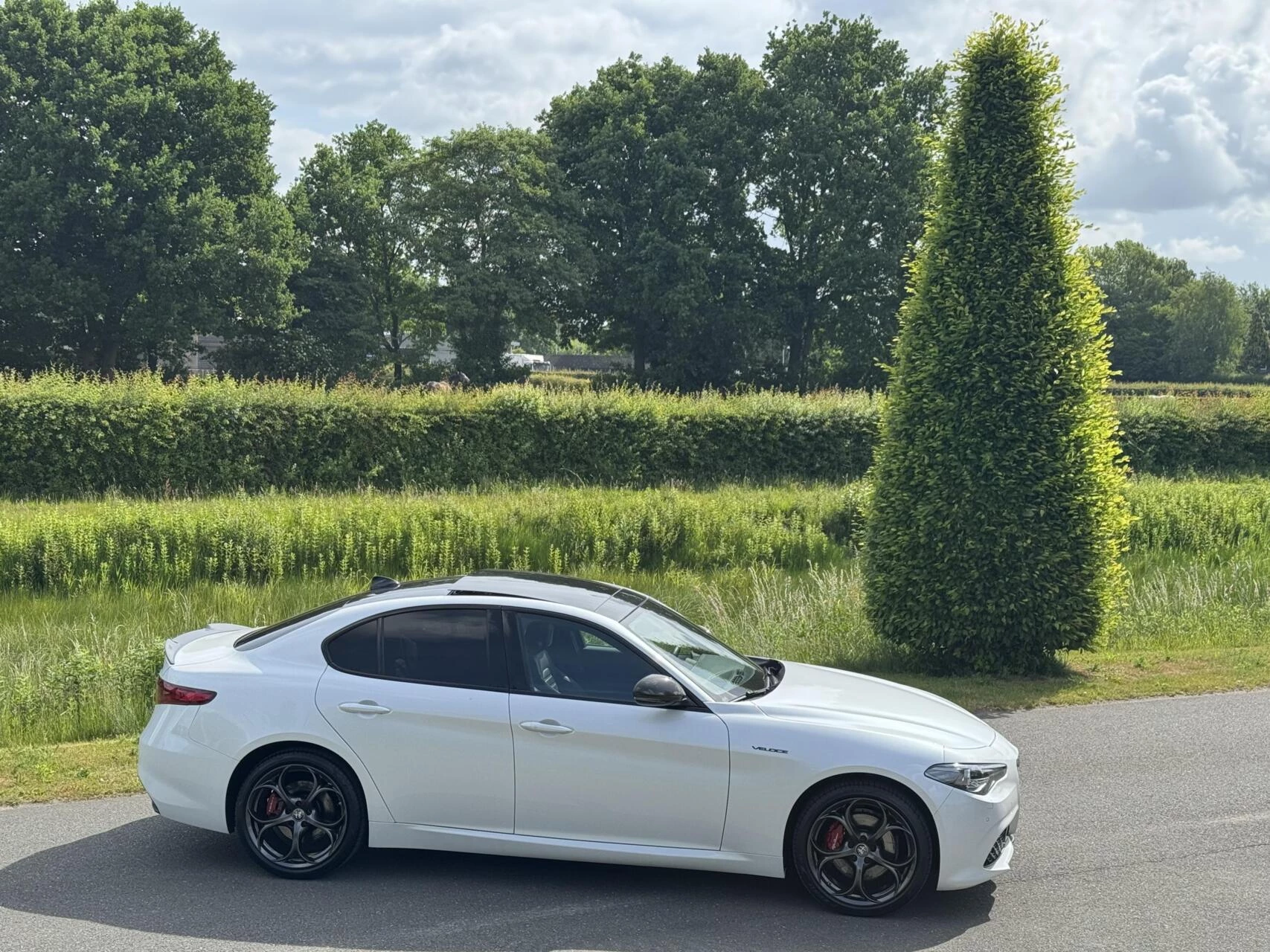 Hoofdafbeelding Alfa Romeo Giulia