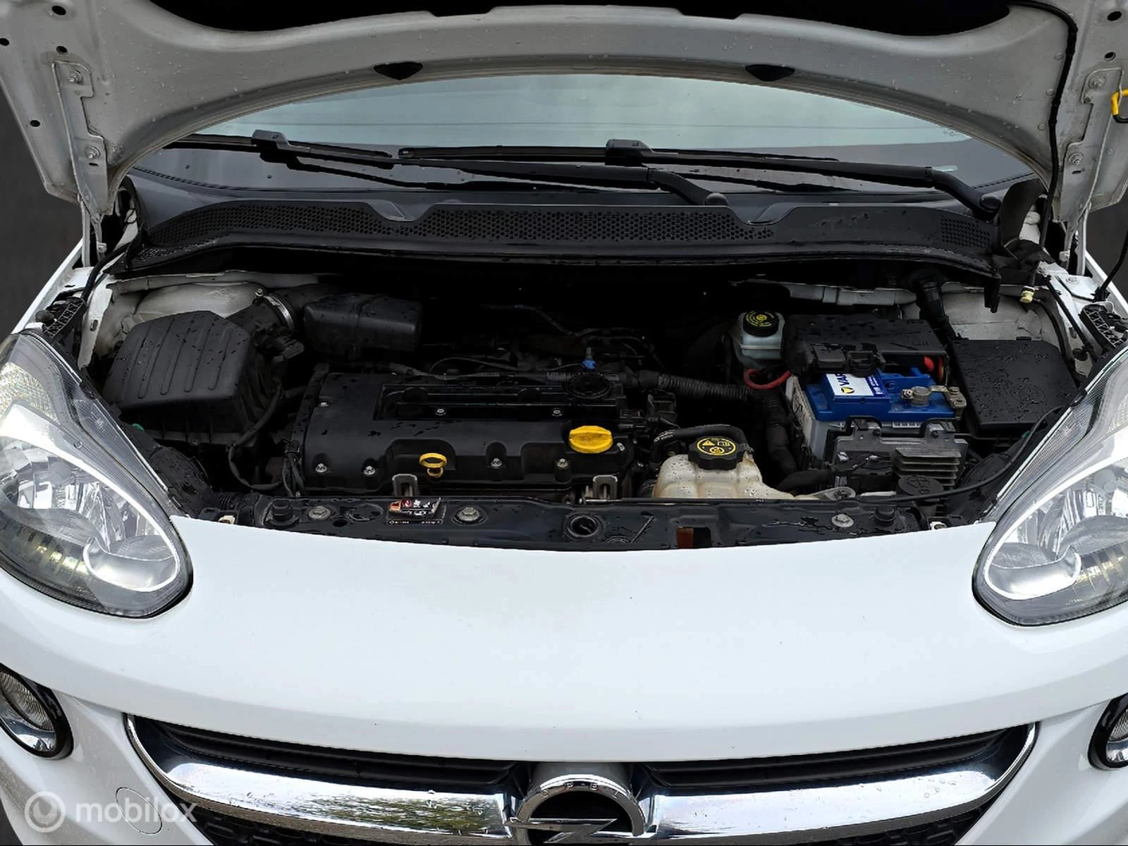 Hoofdafbeelding Opel ADAM