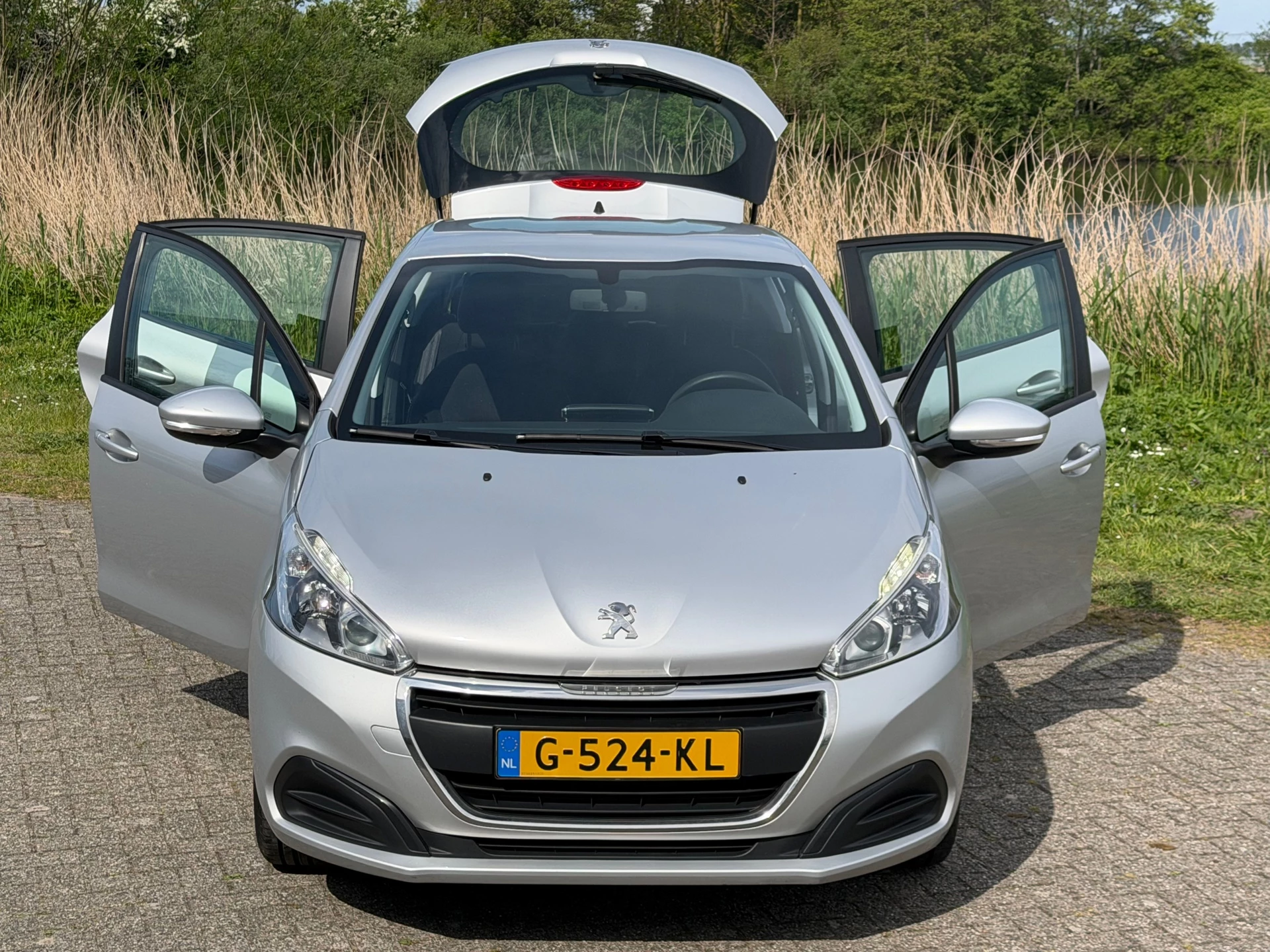 Hoofdafbeelding Peugeot 208