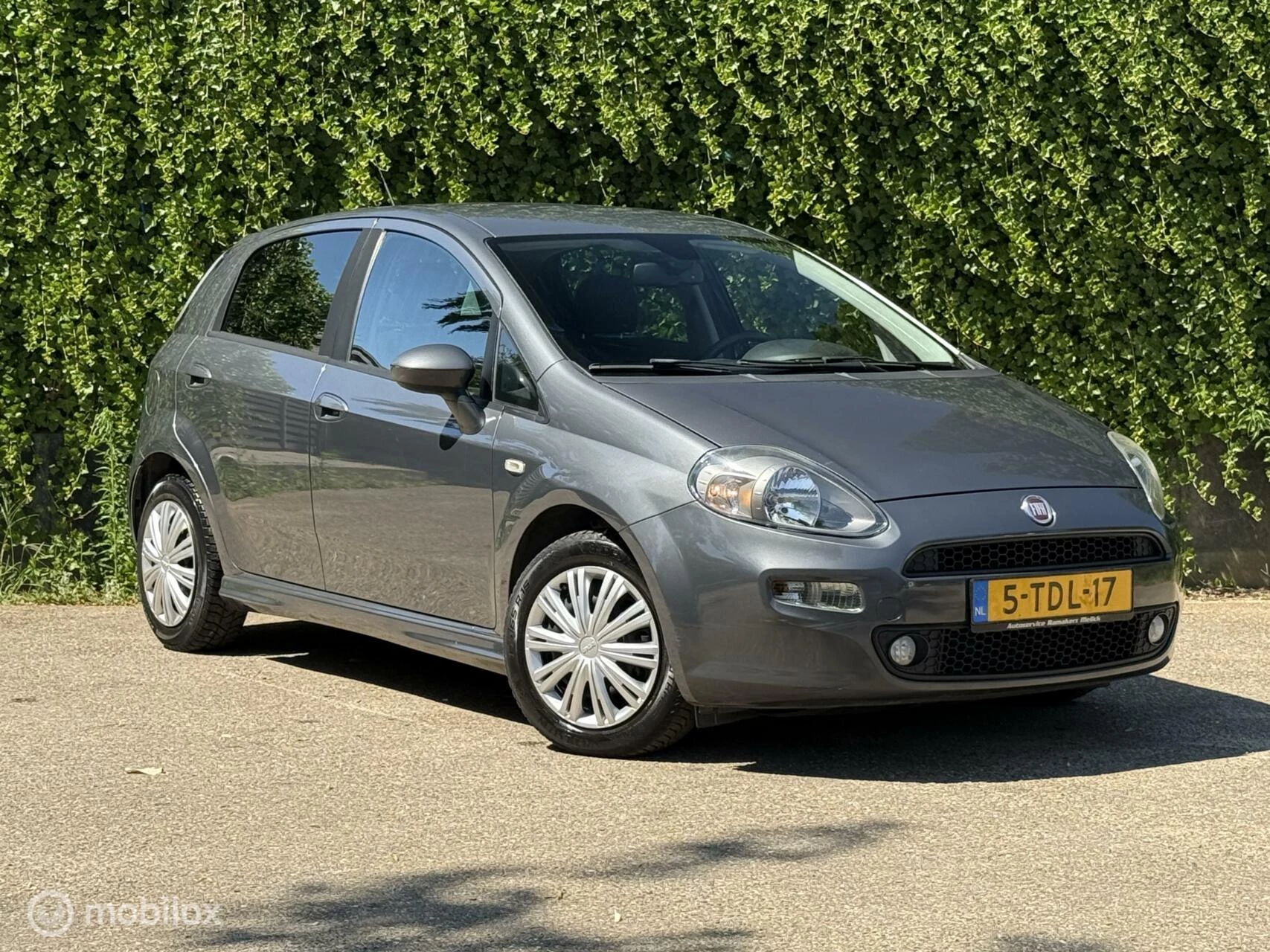 Hoofdafbeelding Fiat Punto